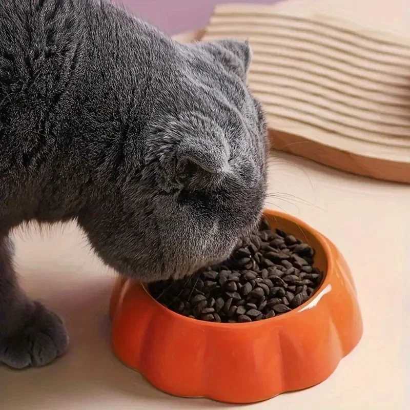 Cute Designs Pet Ceramics Bowl Watermelon Strawberry Shape Cat Food Bowl Small Dog Colorful Water SuppliersXJ241125