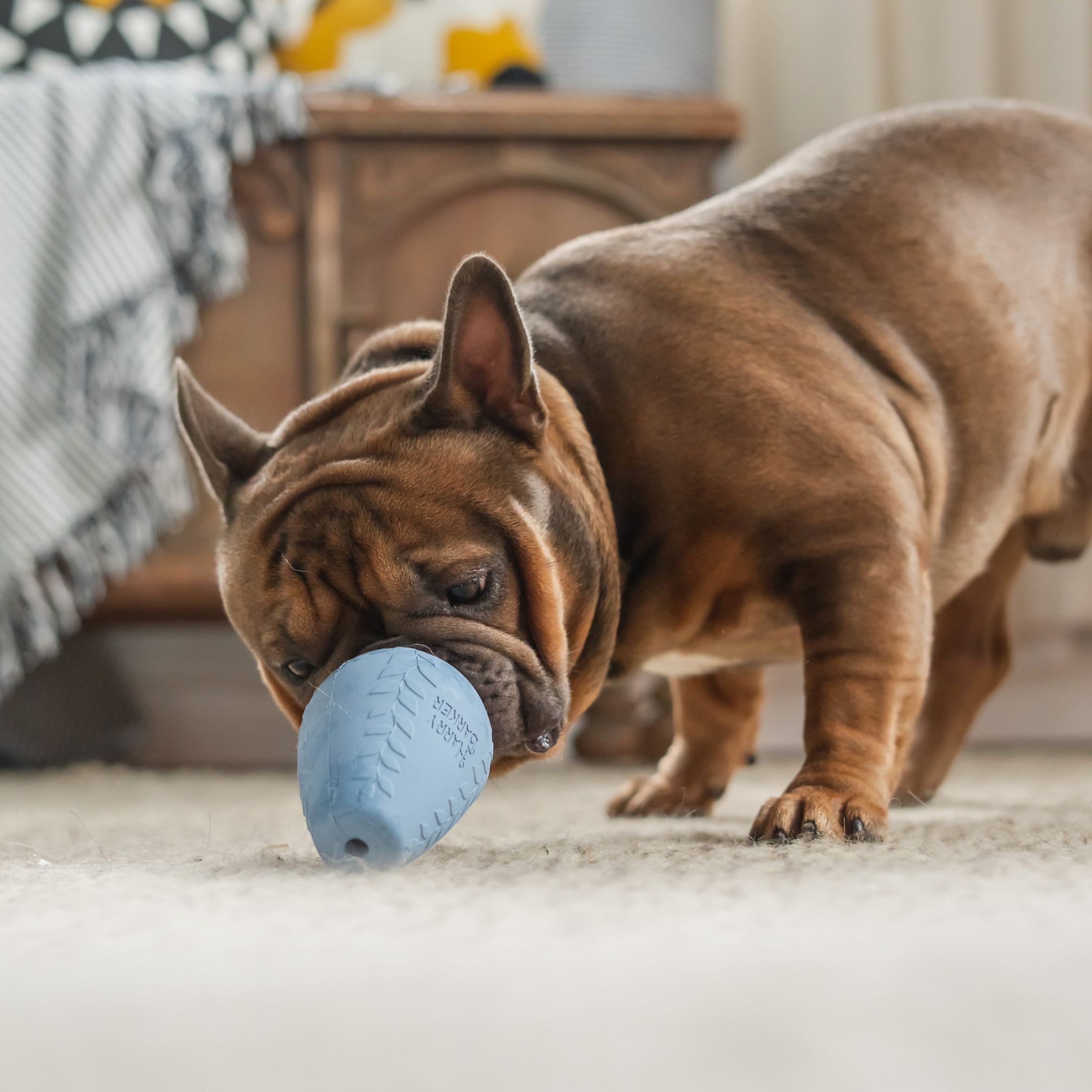 Harry Barker Durable Rubber Treater Dog Toy, X-Small