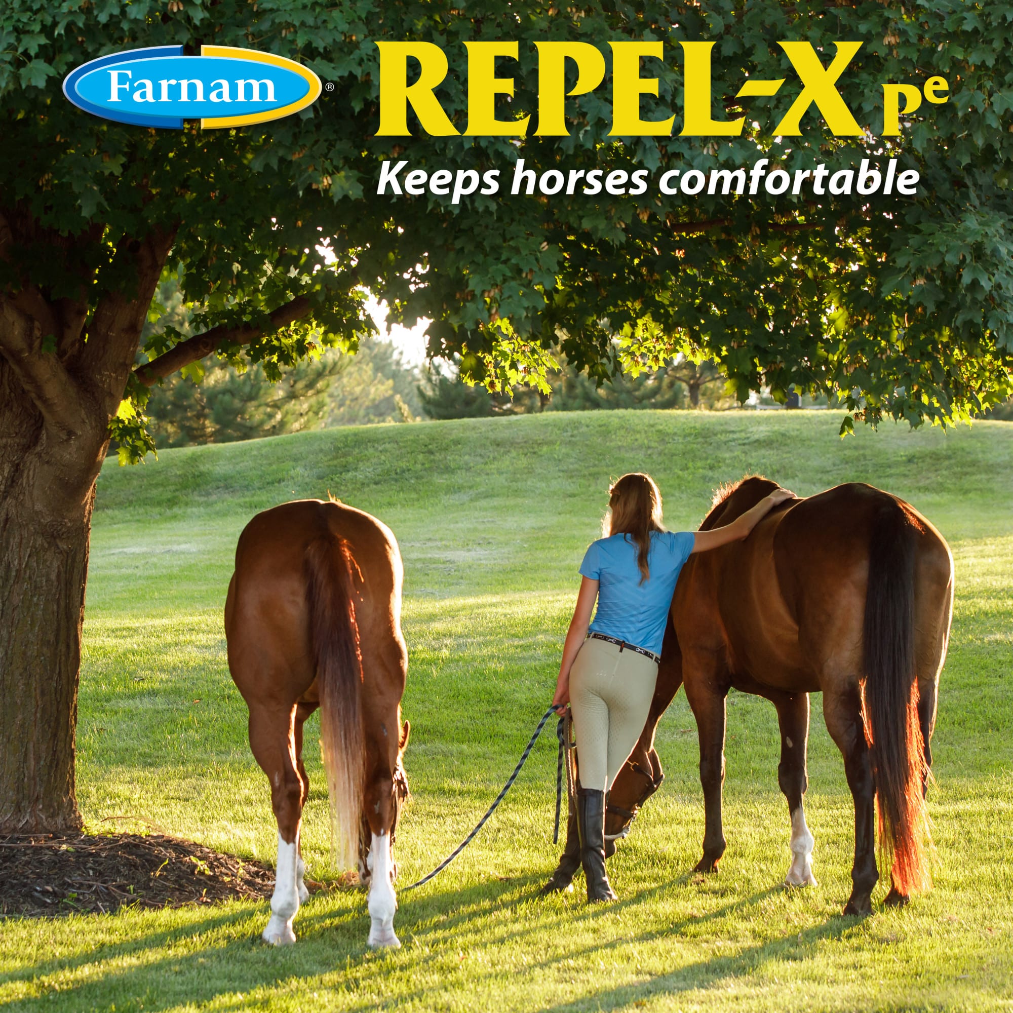Farnam Repel-X Pe Emulsafiable Fly Spray for Horses, 32 fl. oz.