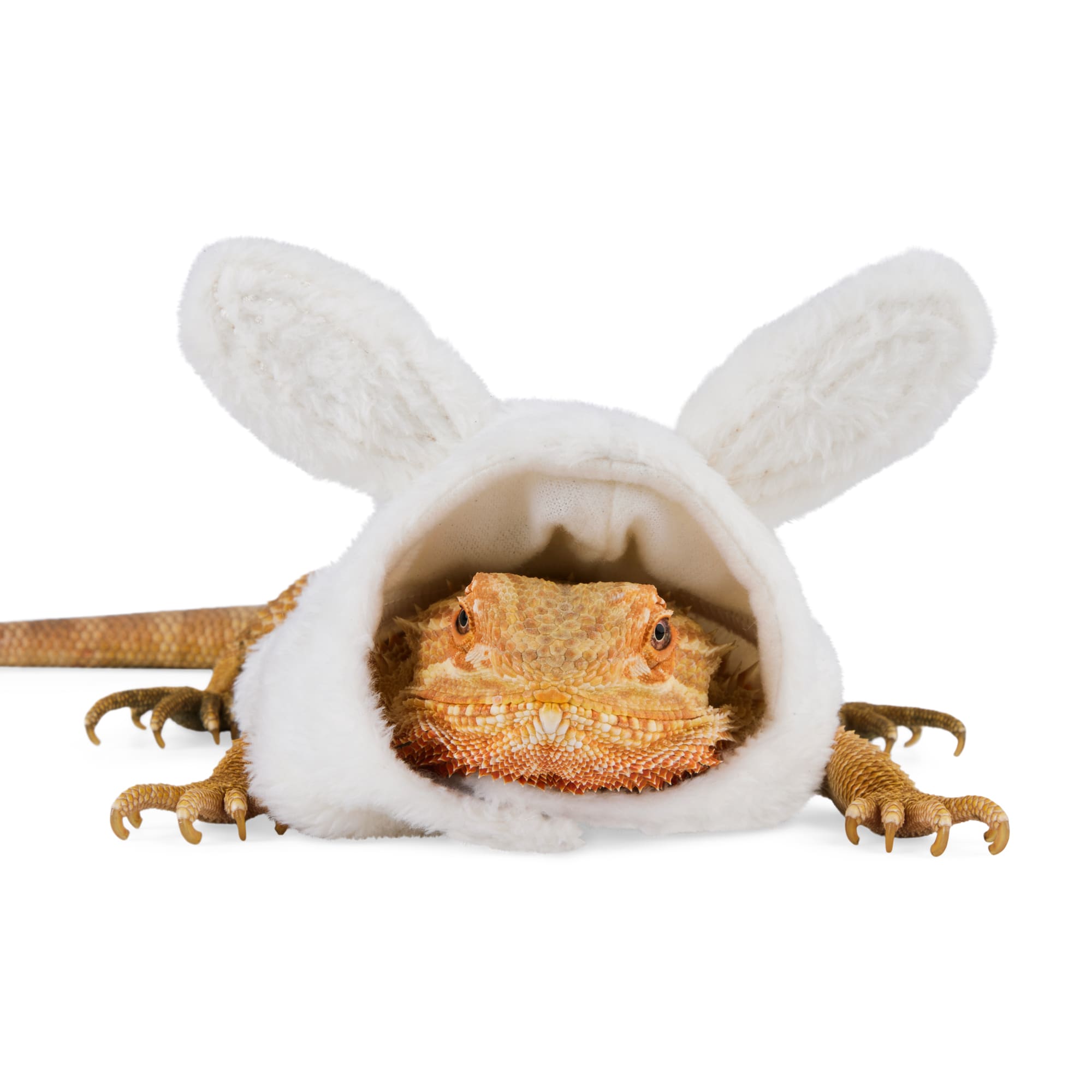 YOULY Easter Bearded Dragons Bunny Hoodie