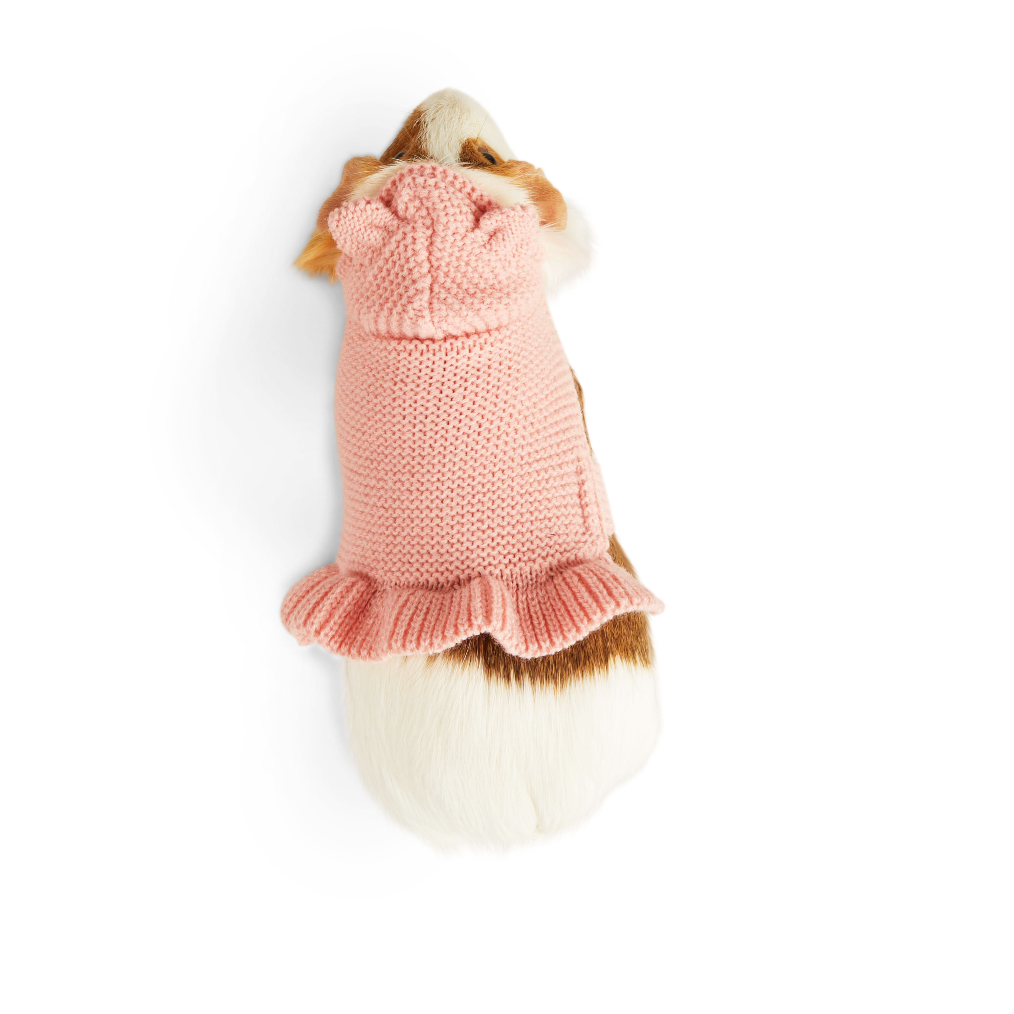 YOULY Blush Teddy Small Animal Dog Hoodie, Pink