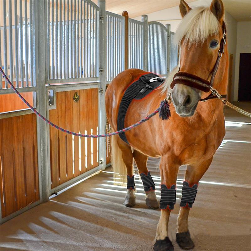 2024 Built-in Battery Wireless Led Belt Therapy Cat Dog Red Light Therapy Infrared Wrap 660nm 850nm Horse Therapy Red Light Pad