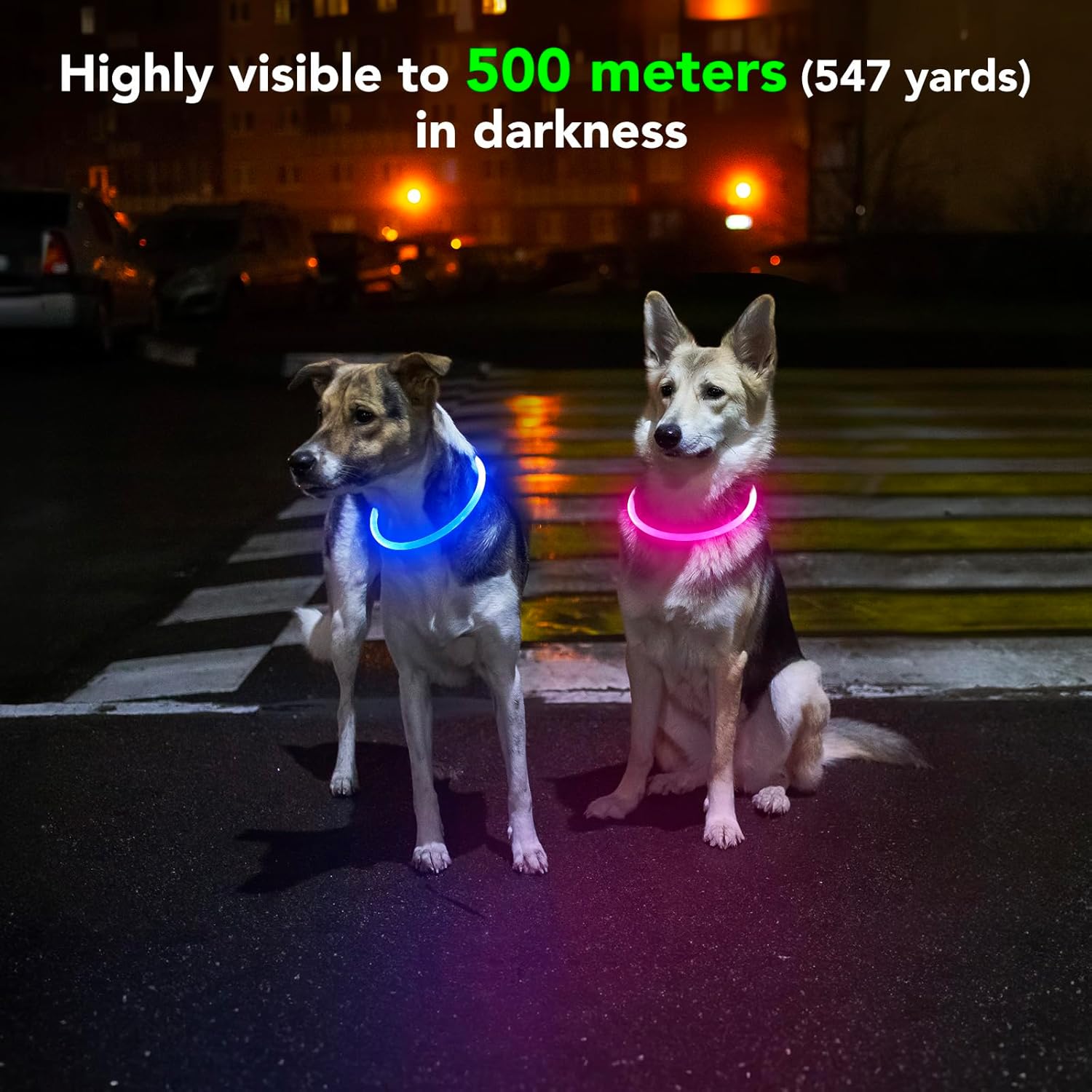 OEM Brightest Dog Collars USB Rechargeable Waterproof Light Up Dog Collar for Night Walking