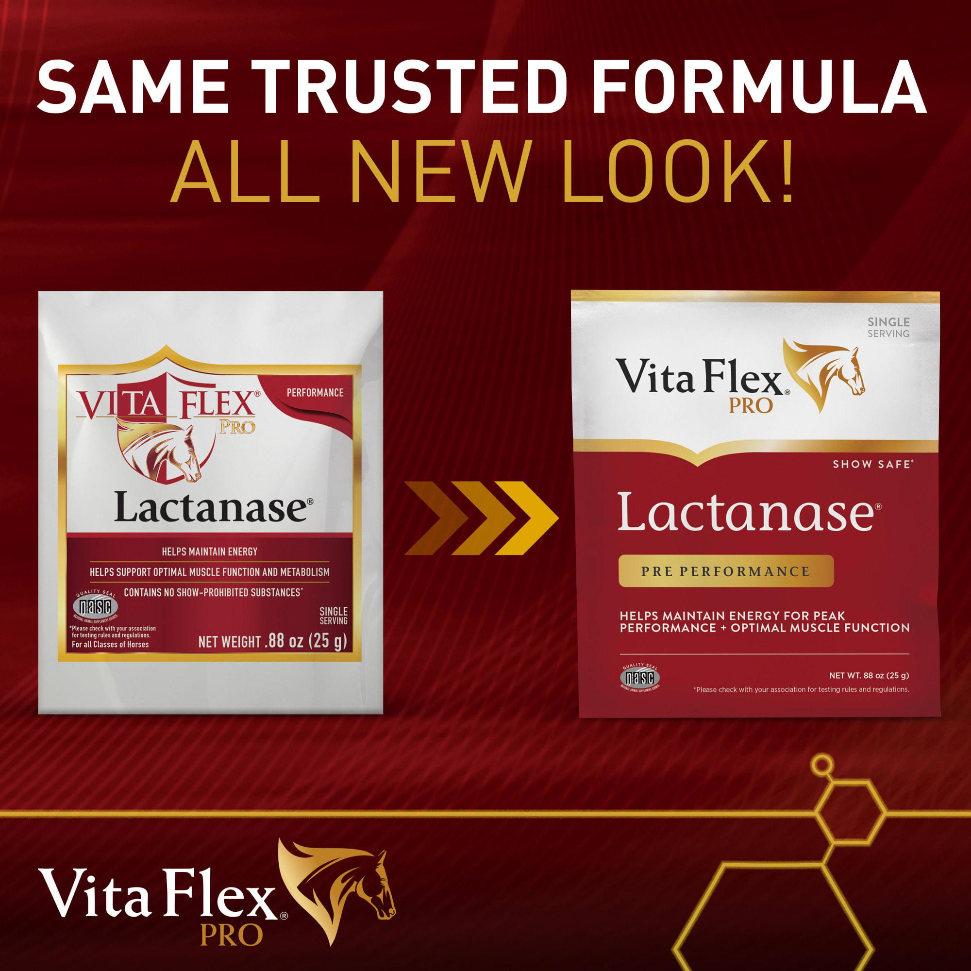 Vita Flex Lactanase Performance Supplement for Horses, 25 Gram, Count of 12