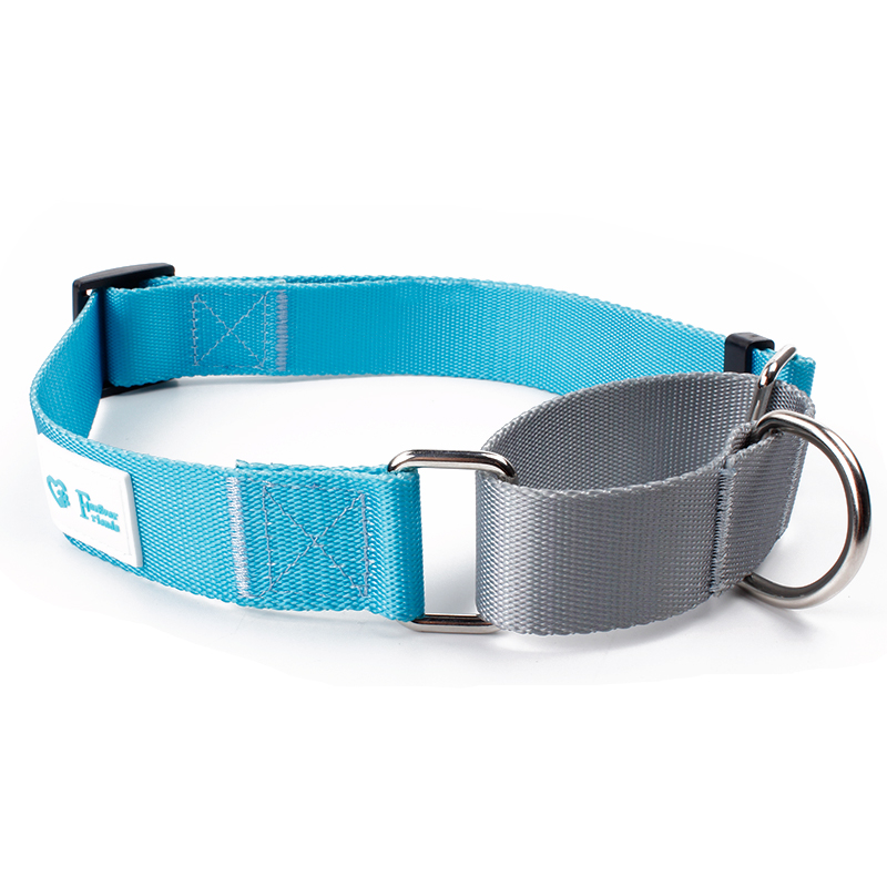 Nylon martingale dog collar luxury paracord neoprene dog collars custom