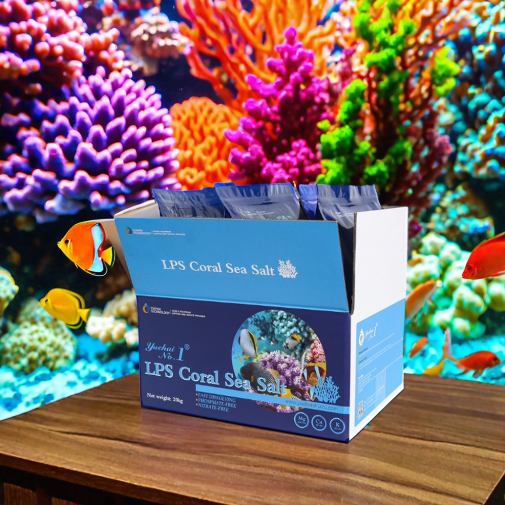 LPS Reef Marine Ornamental Fish Sea Salt Customized SPs Glass for Aquarium Coral Stocked Feature
