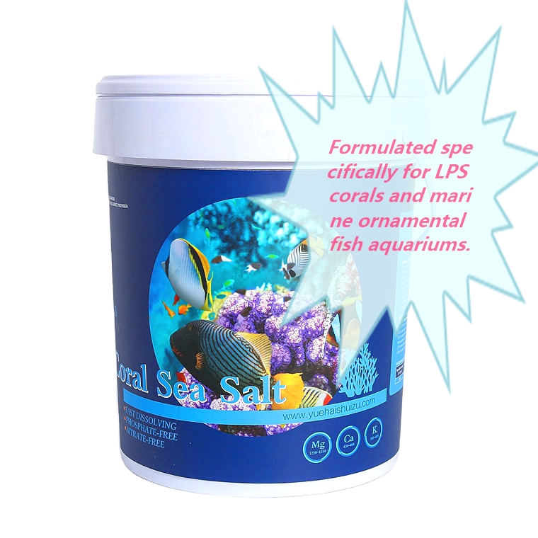 2024 New Ornaments for Aquariums & Accessories Fish Tank Coffee Table with Reef Tropical Fish LPS Coral Sea Salt