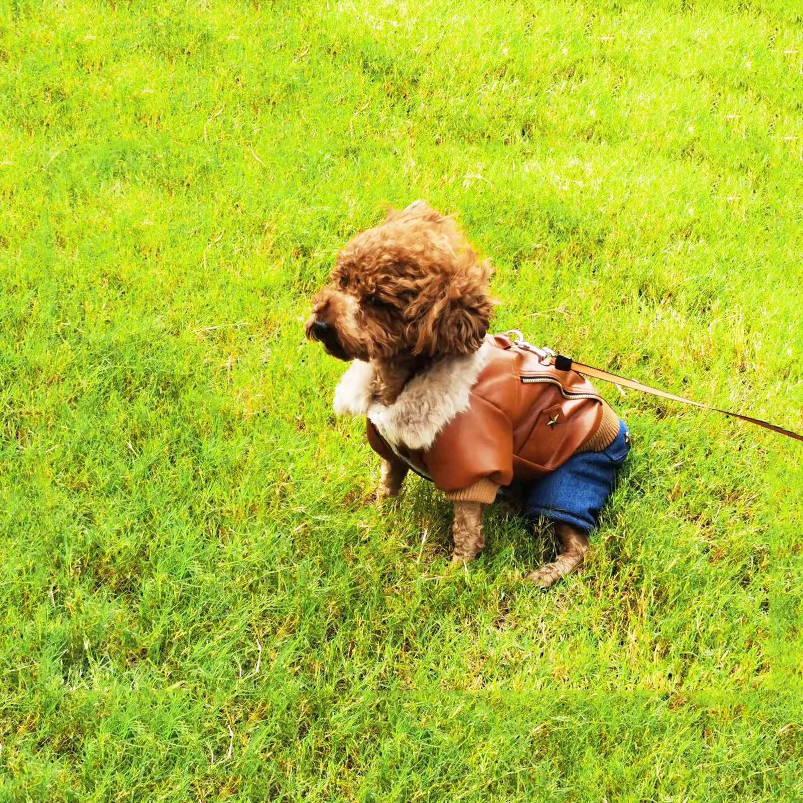 Super Thickness Brown Fashion Handsome Pet Dogs Winter Coat Punk Style Dogs Clothing Warm Jacket Coat For Small Dog JumpsuitXJ241125