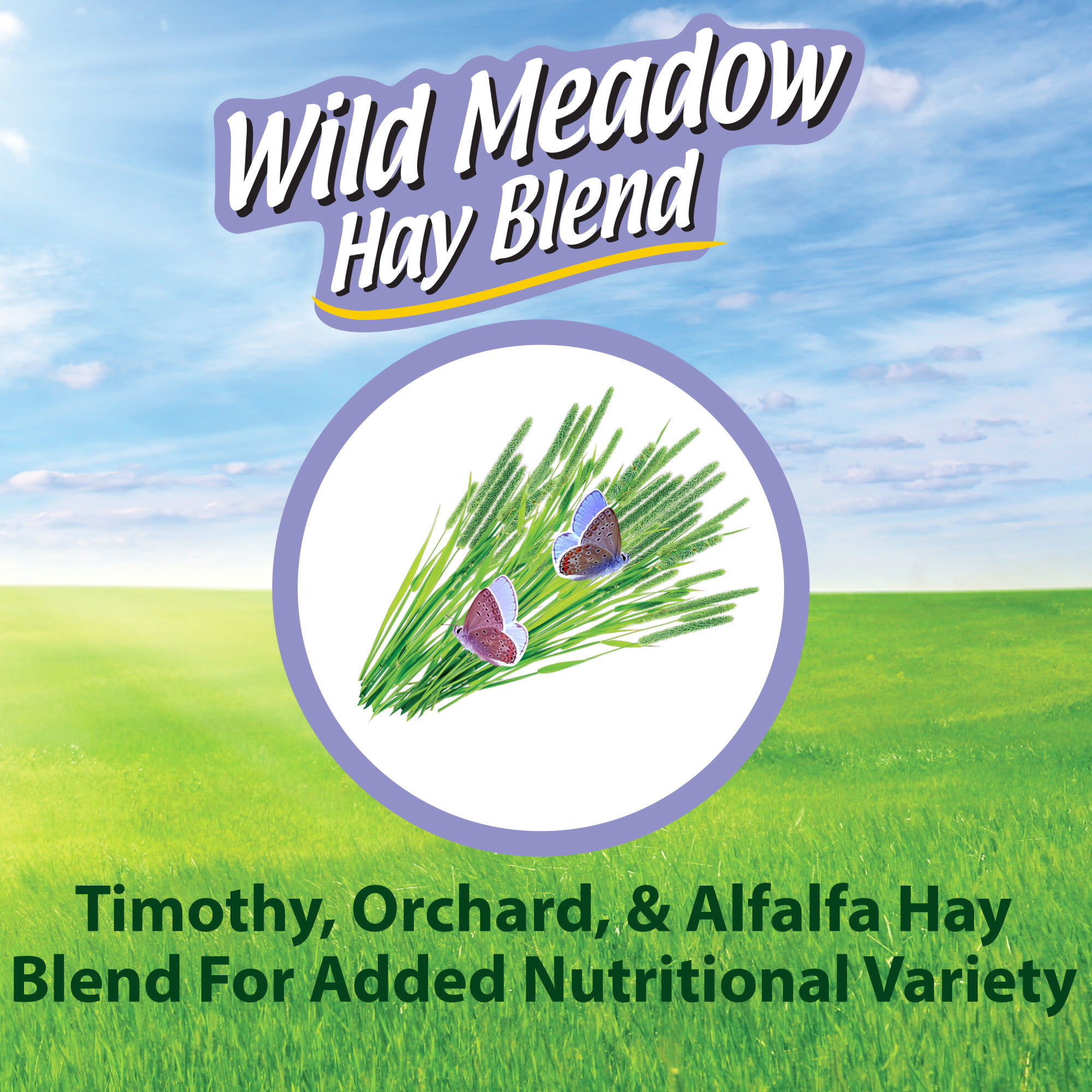 Kaytee Wild Meadow Hay Blend for Small Animals, 24 oz.