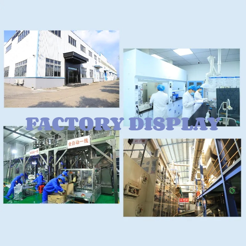 OEM Cat Food Factory Exports 10KG Natural Raw Fish Flavors Fish Shapes All Age Cat Food