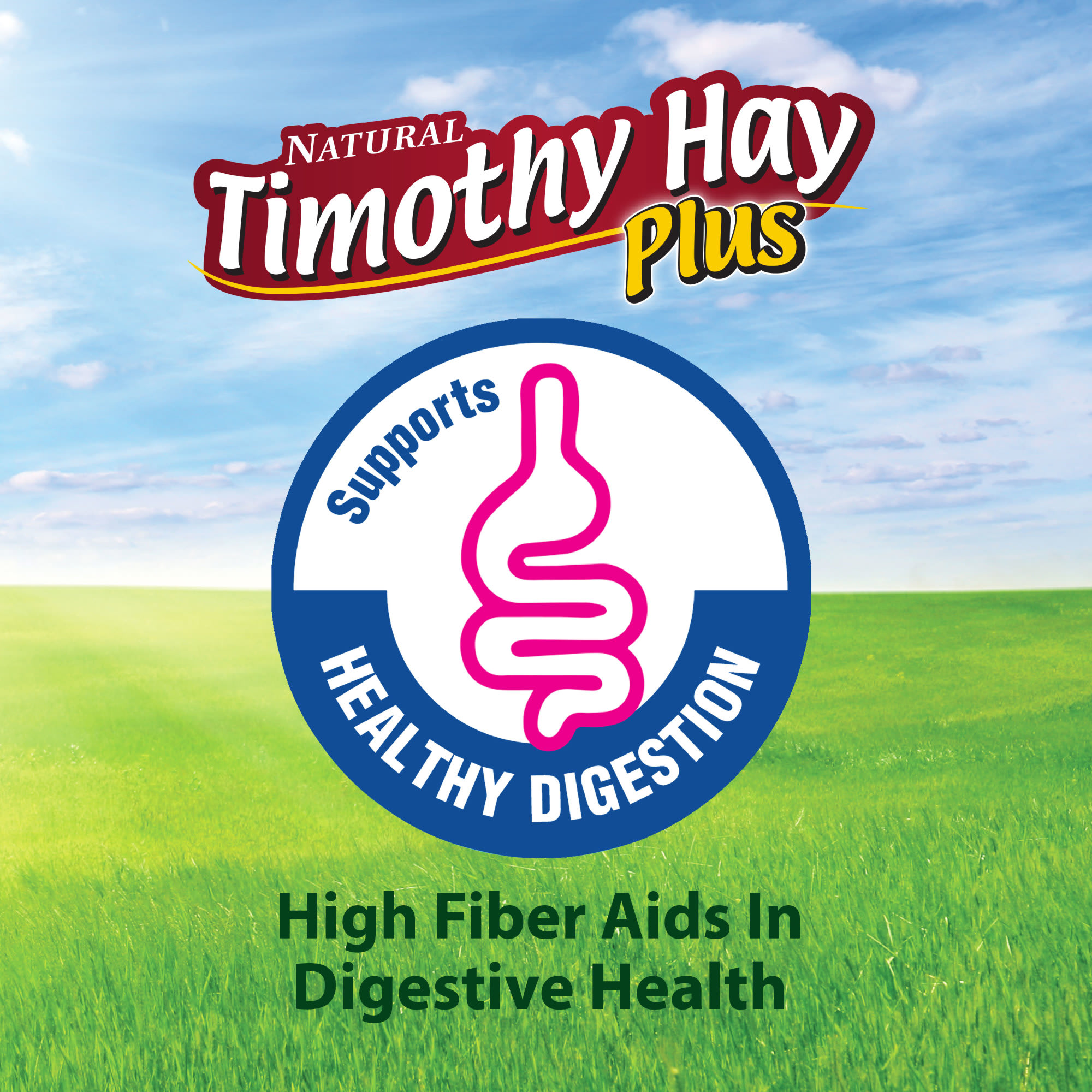 Kaytee Timothy Hay Plus Rose & Thyme for Small Animals, 24 oz.