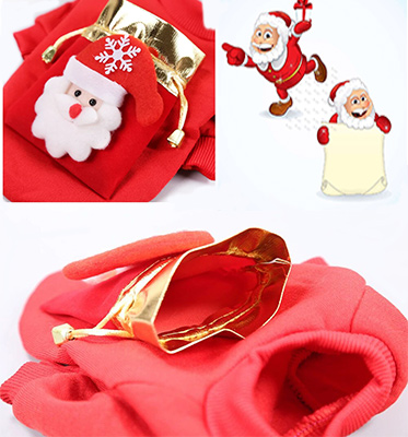 Pet Chinese New Year Clothes Autumn And Winter Fleece Warm Keeping Articles Small And Medium-sized Dog