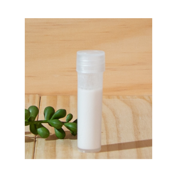 Anti Escape Liquid Supplies for Ant Farm