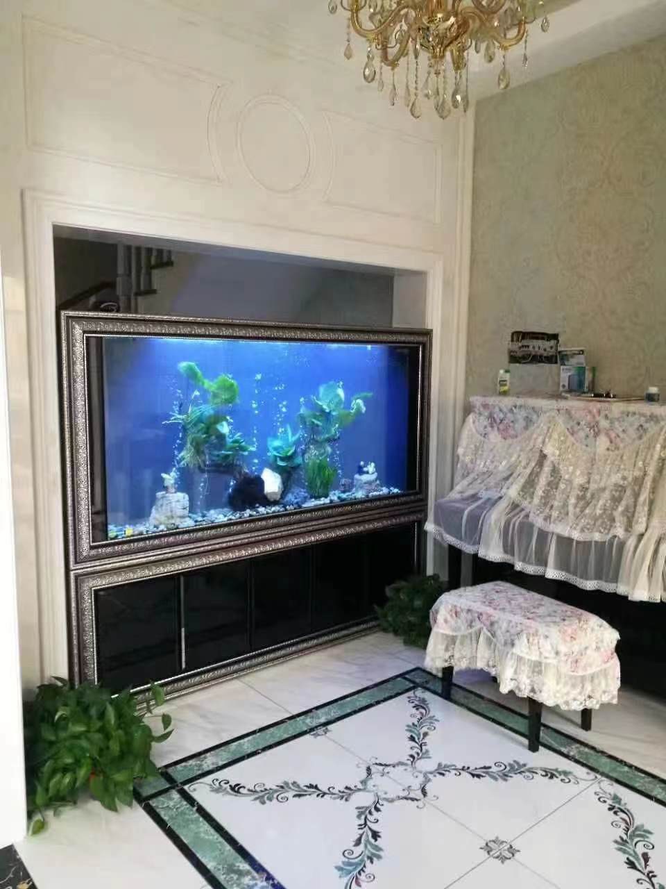 Large Fish Tank Aquarium Bowl Fish Tanks Fish Wide No Border Aquarium Tank