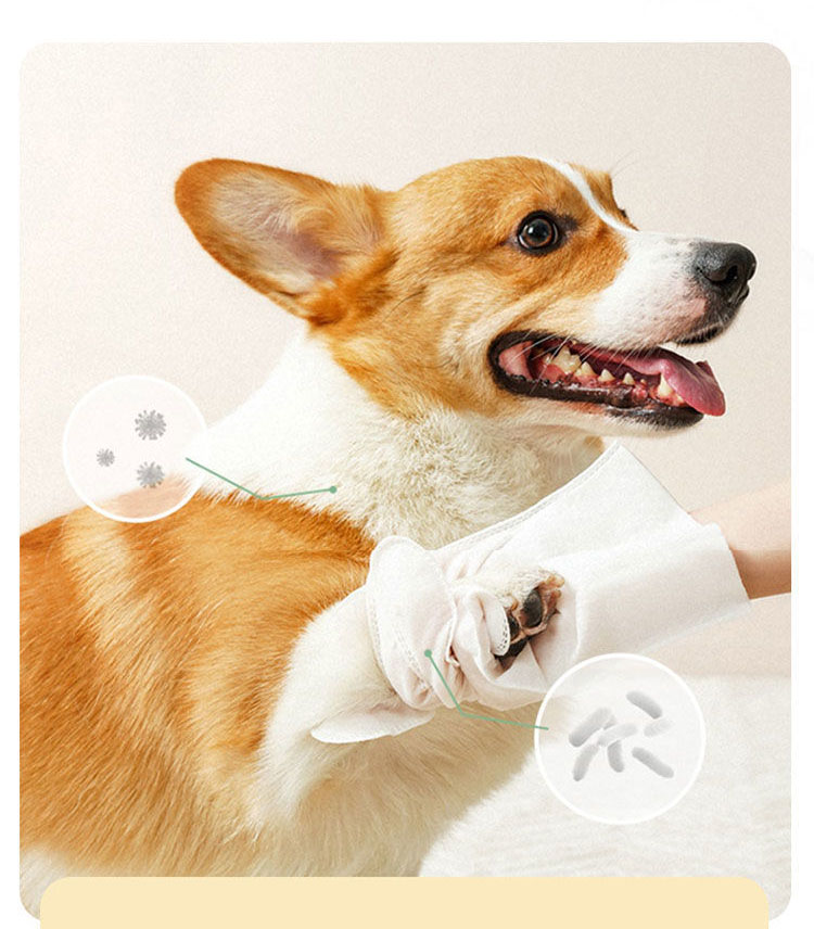 6-Piece Wet Wipes Pet Washing Gloves Dog Bathing Deodorization Disposable Cat Cleaning Dry Cleaning Pet Supplies