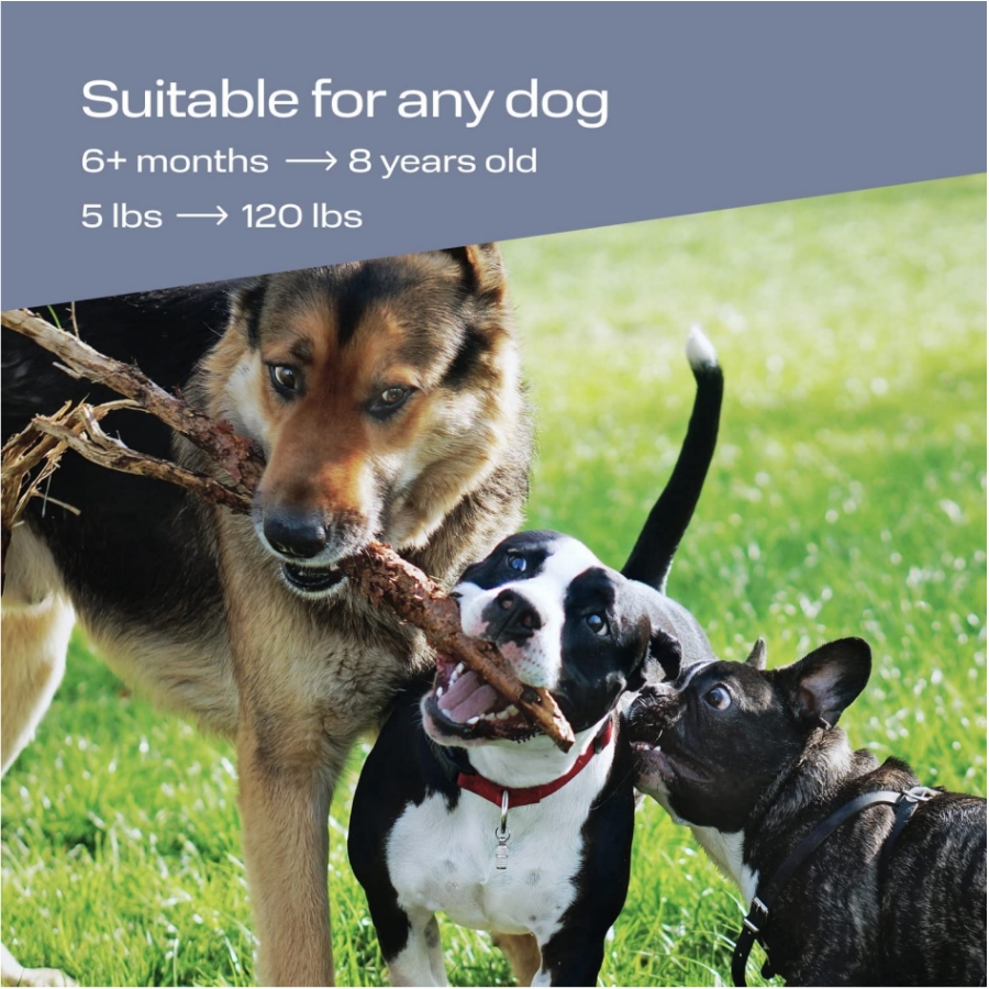Handheld Ultrasonic Dog Trainer Repeller Pet Anti Barking Repeller Anti Barking Stop Bark Training Control Device With LED Light