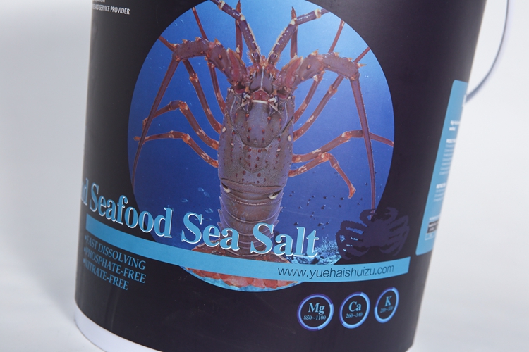 2024 Breeding Fish Farming Seafood Prawns Hairy Crab Aquaculture Sea Salt Shrimp