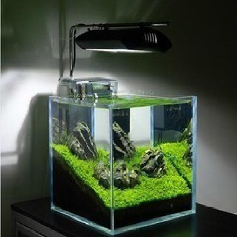 Wholesale Pet Supplies Aquarium Fish Tank Ornamental Landscape Ultra White HD Glass Various Size Aquarium Fish Tank