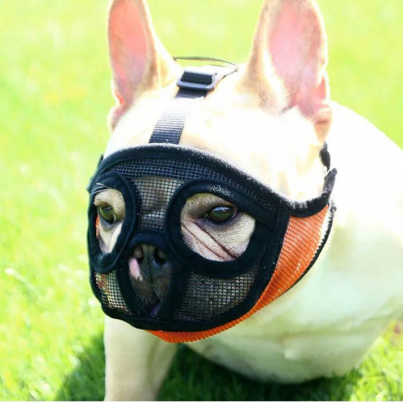 Top Popular Pet Short Snout Dog Muzzles Adjustable Breathable Mesh Bulldog Muzzle for Biting Chewing Barking Training Dog Mask