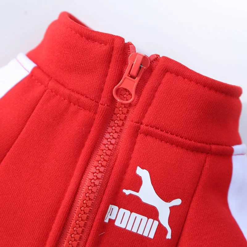 Baseball Dog Jacket Winter Dog Clothes for Small Medium Dogs Puppy Pet Vest French Bulldog Sweatshirt Chihuahua Costume Pug CoatXJ241125
