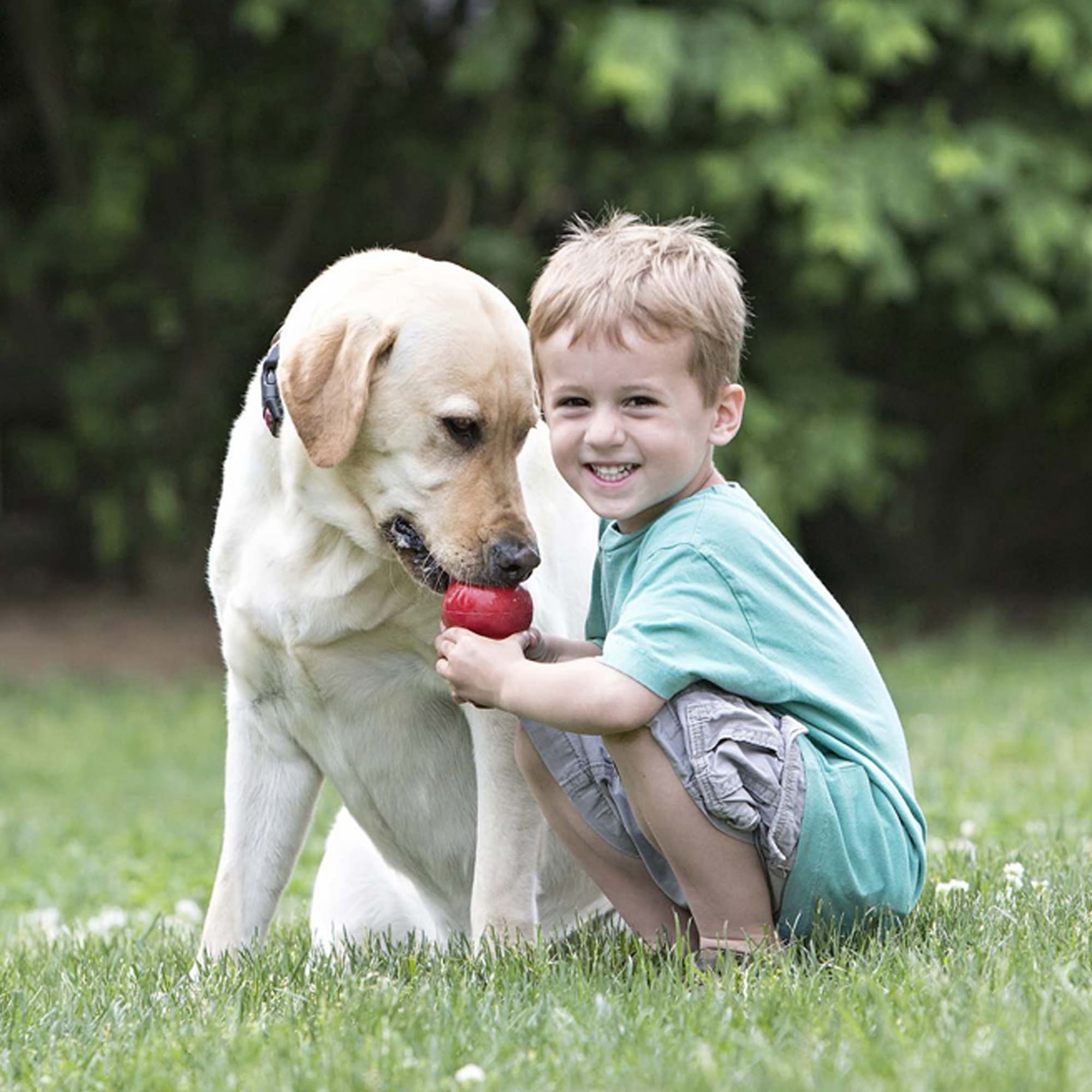KONG Classic Dog Toy, Small