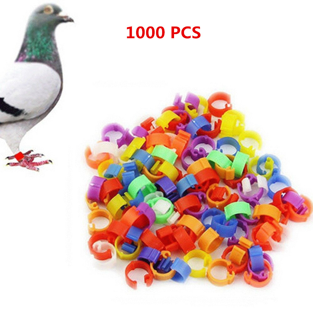 1000pcs/set Bird Rings Leg Bands for Pigeon Parrot Finch Canary Hatch Poultry Rings