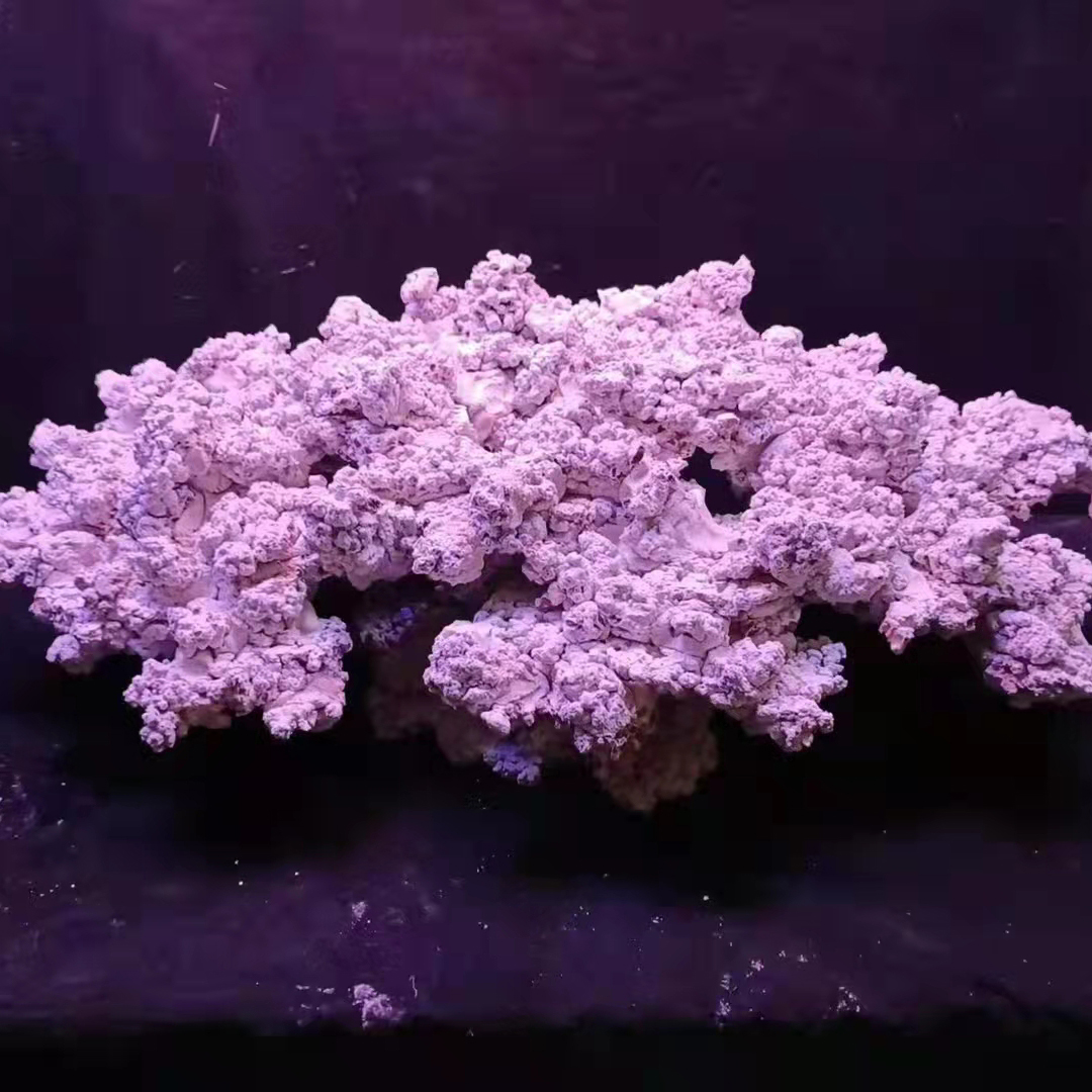 Custom Made Landscape Artificial Aquarium Reef Rock Stone for Saltwater Fish Tank
