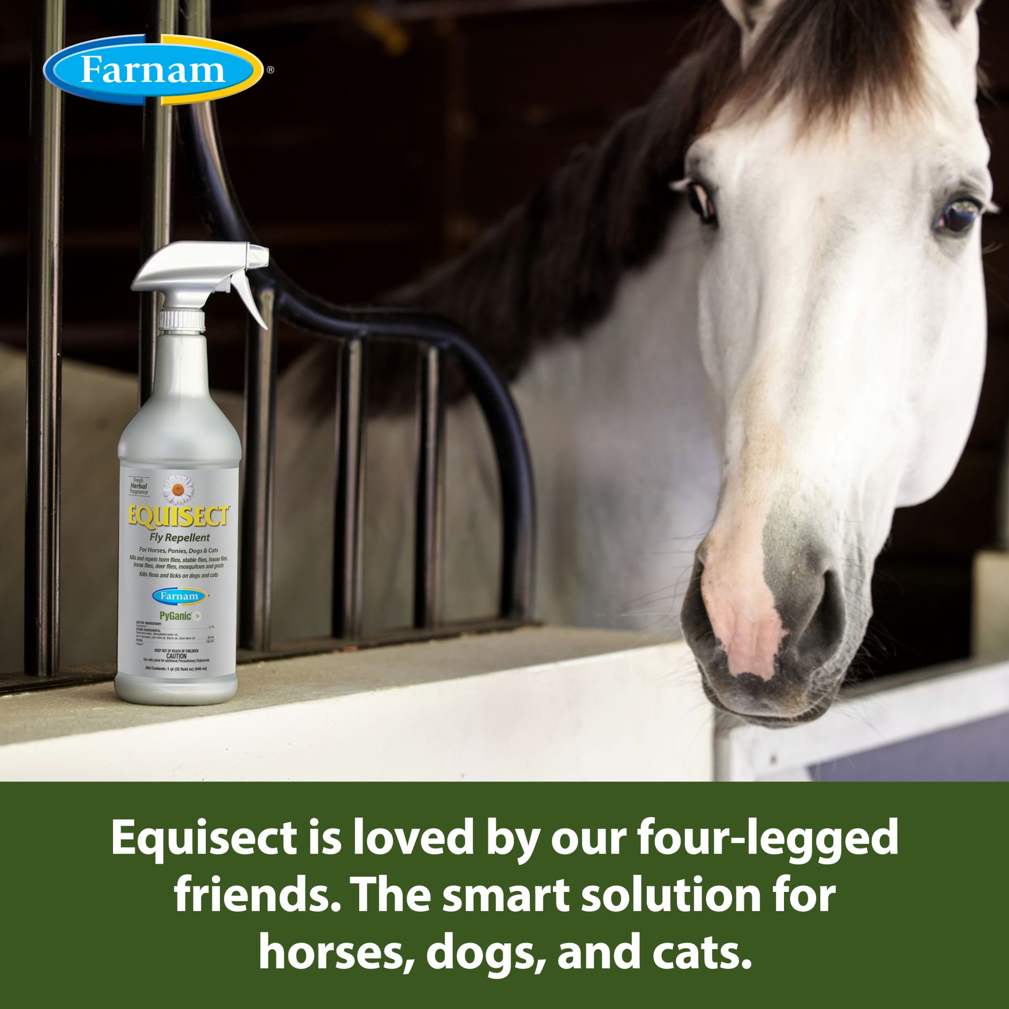 Farnam Equisect Botanical Fly Repellent for Horses, Dogs and Cats, 32 fl. oz.