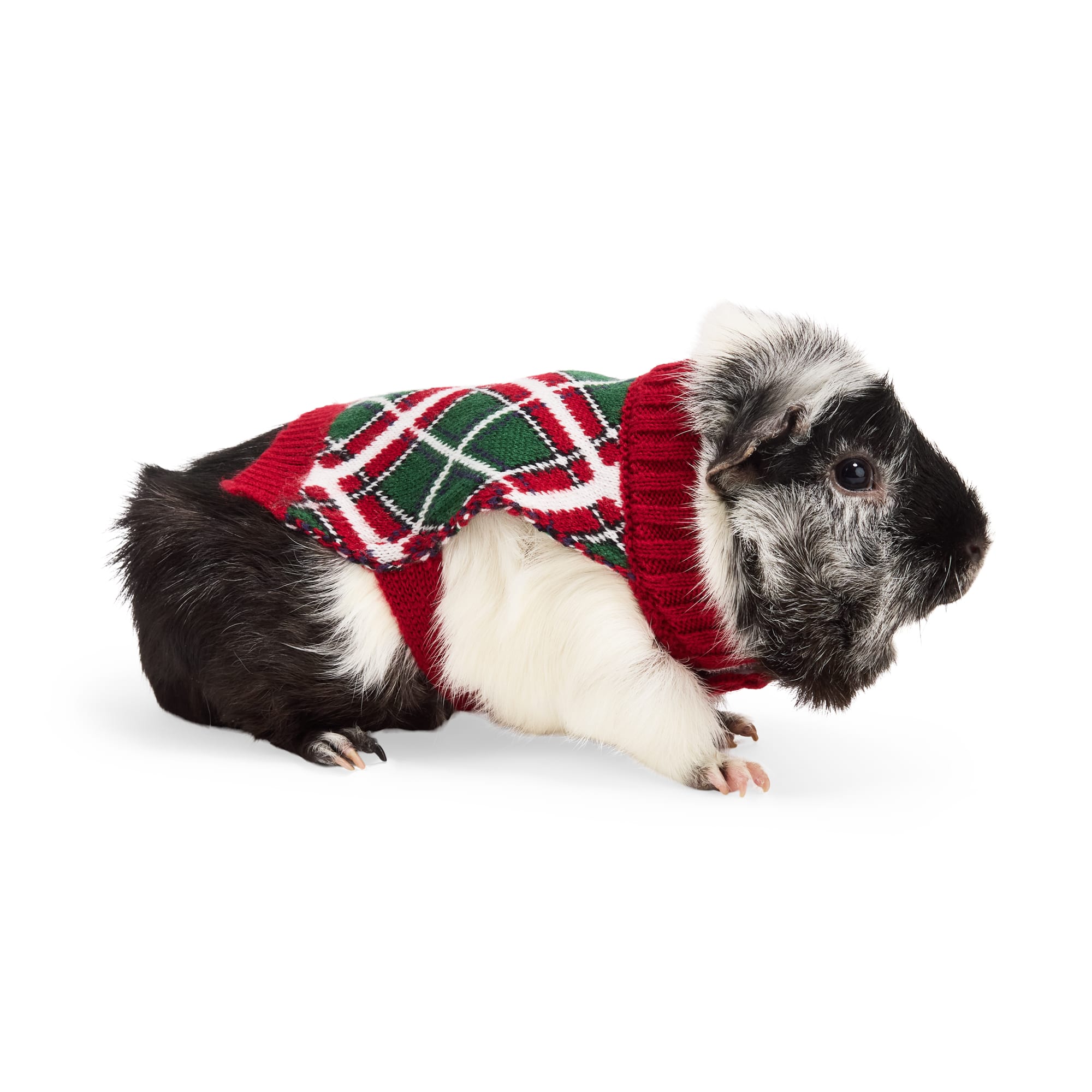 Merry Makings Small Animal Plaid Sweater, Multi-Color