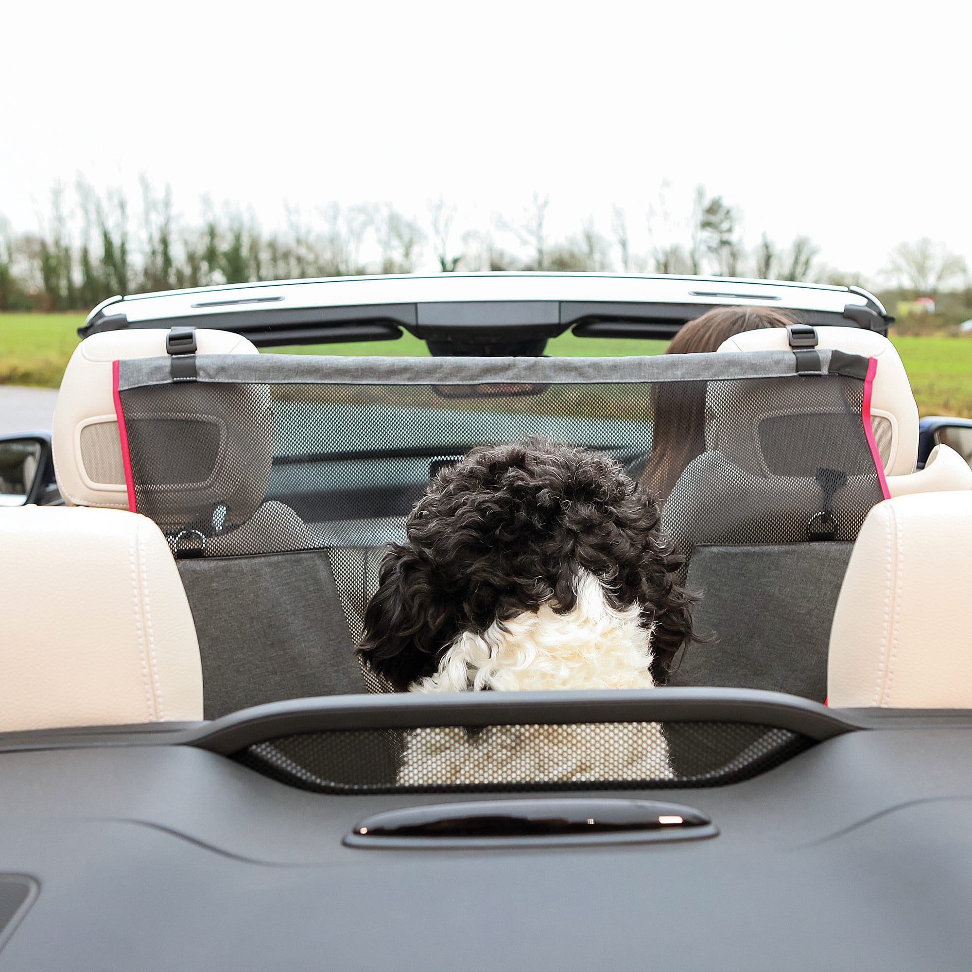 KONG Protective Car Seat Barrier for Dogs