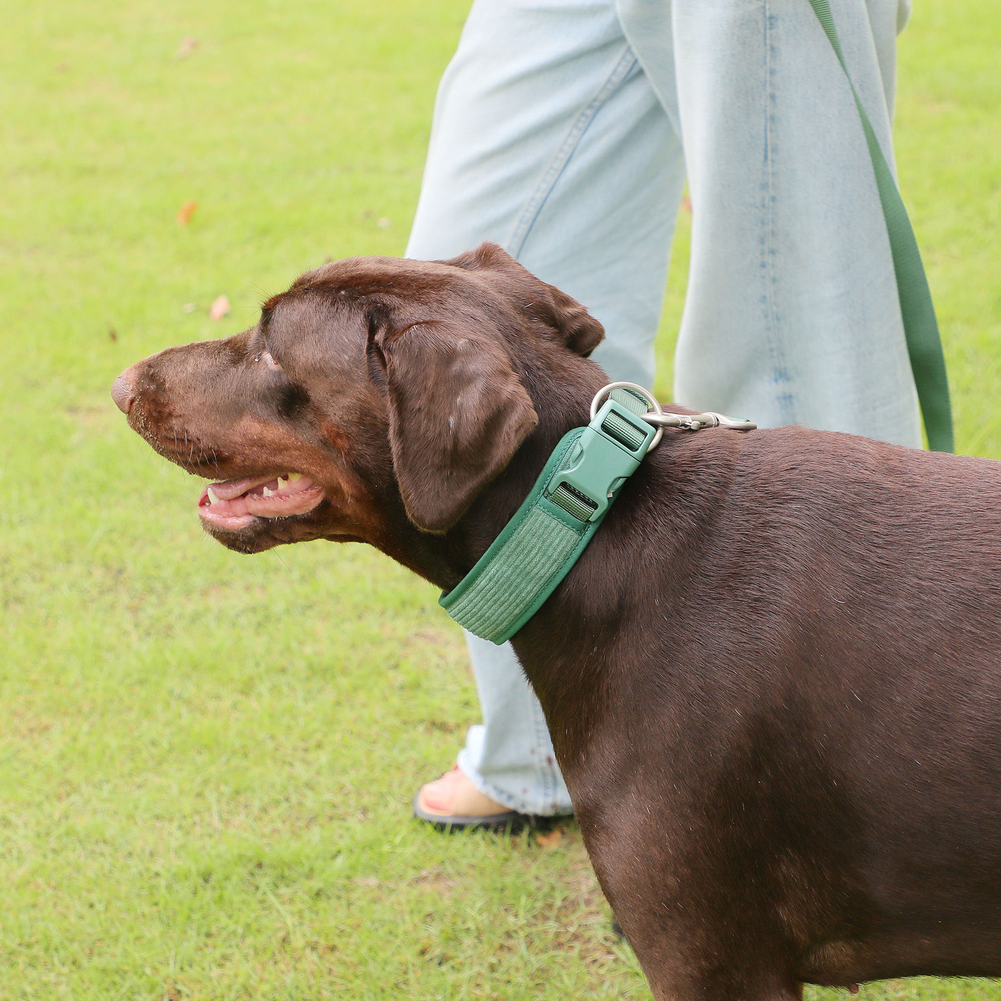Pet Leash And Harness Set dog Vest step In Harness dog accessories