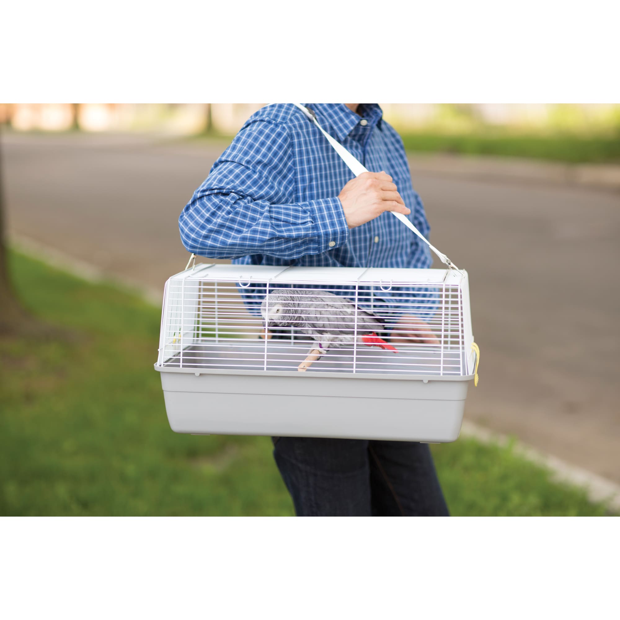 Prevue Pet Products Universal Travel Carrier for Birds or Small Animals, Medium