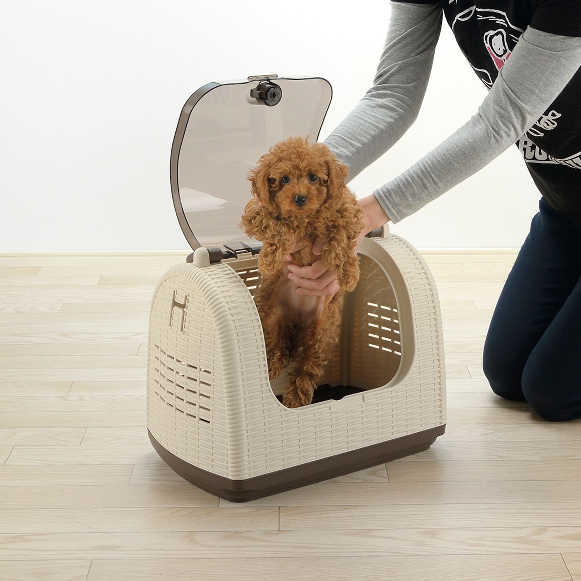 Richell Faux Wicker Pet Carrier, 16" L X 10.5" W X 13" H
