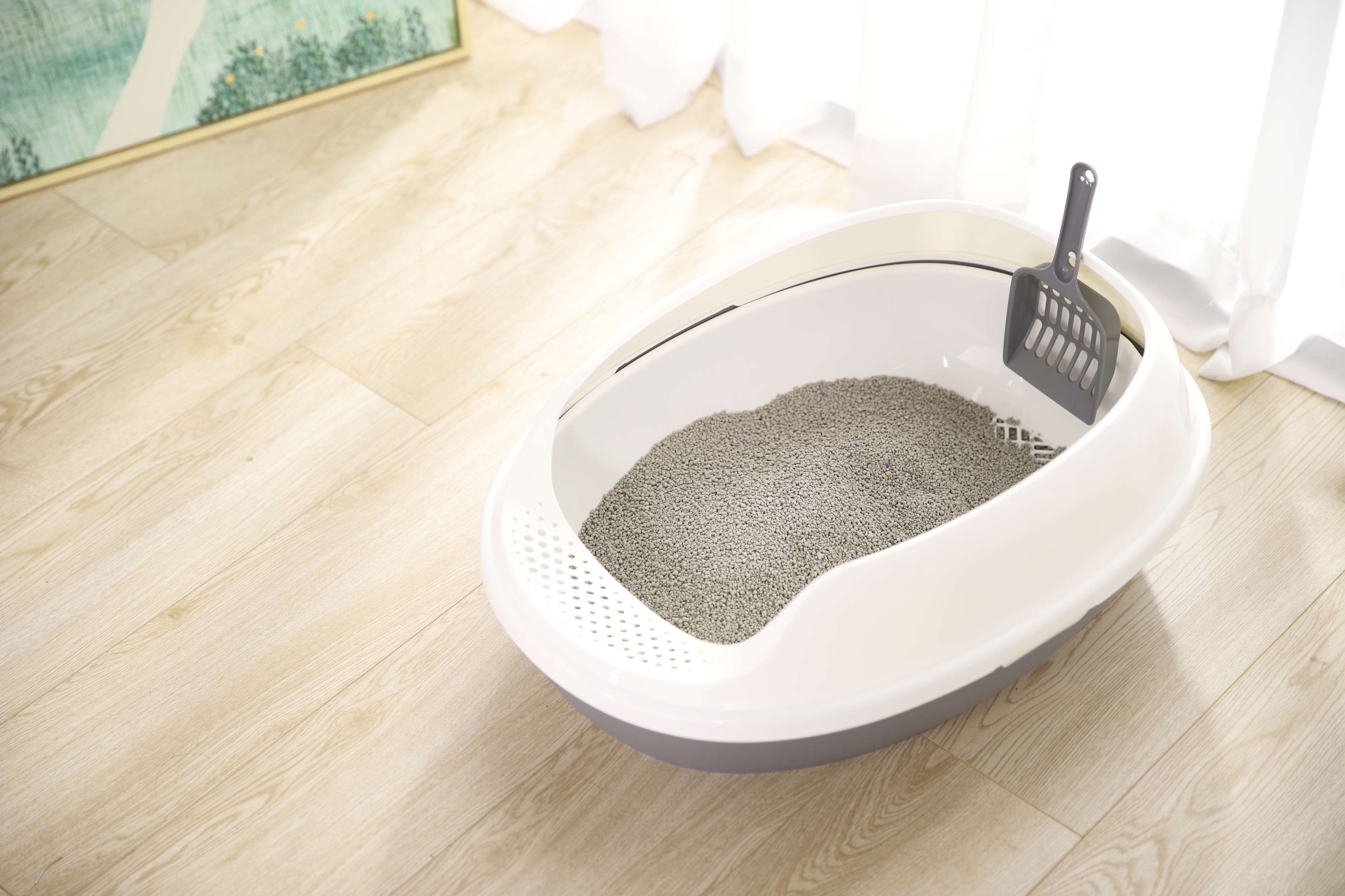 Wholesale Easy Cleaning Detachable Lightweight Best Plastic Cat Litter Toilet Litter Box For Cats