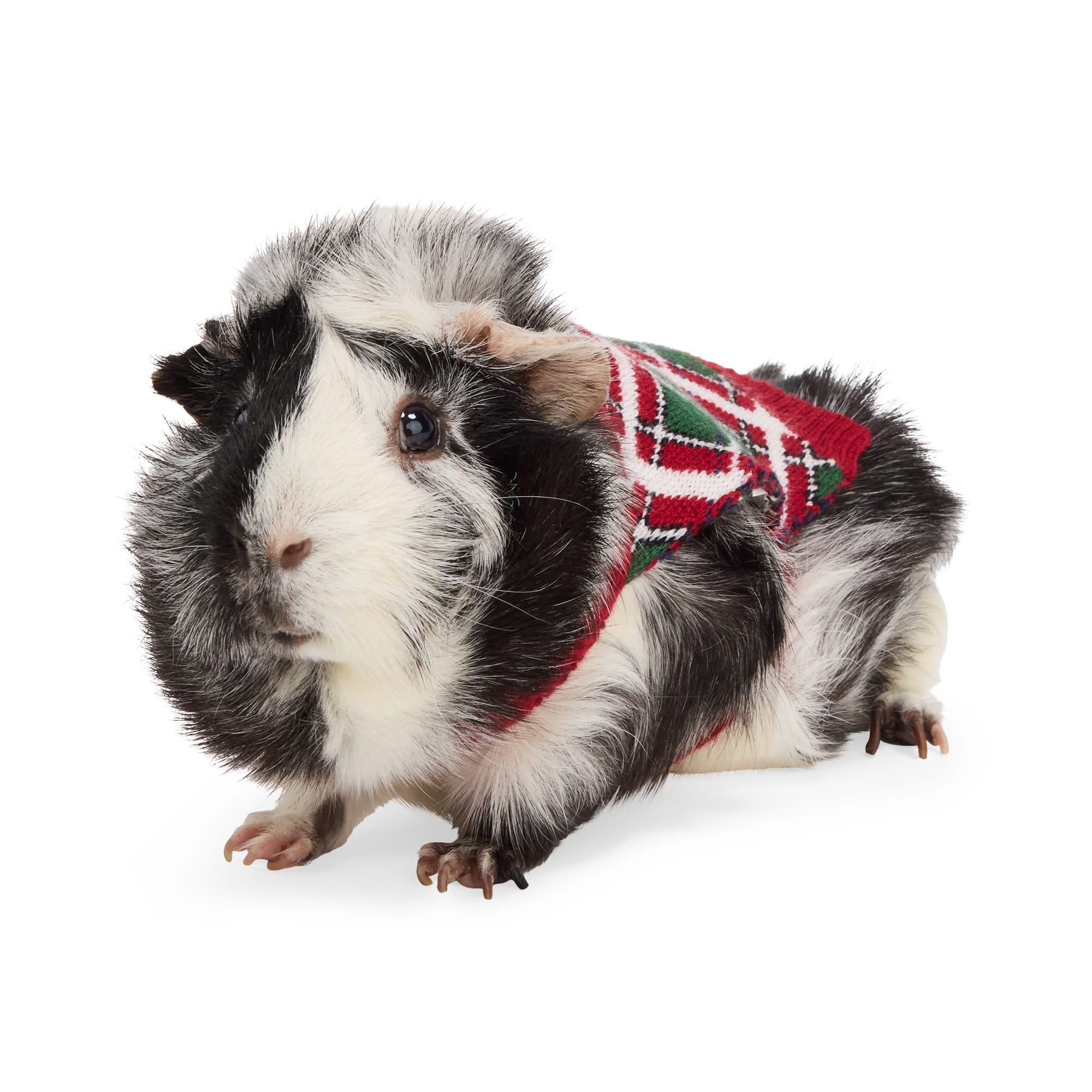 Merry Makings Small Animal Plaid Sweater, Multi-Color
