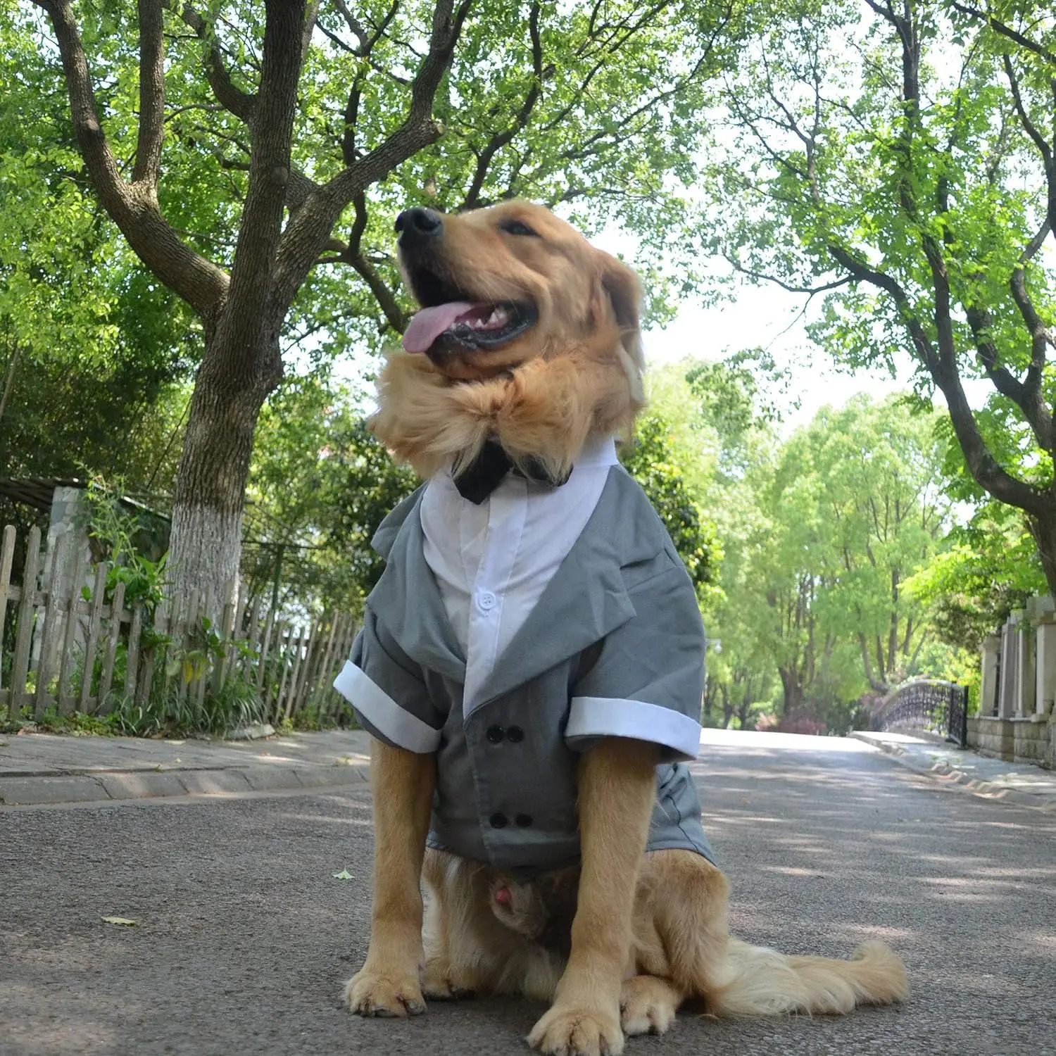Formal Tuxedo Suit with Black Bow Tie for Dogs Pet Costume Wedding Clothes Large Medium Small Dogs Cat 241125