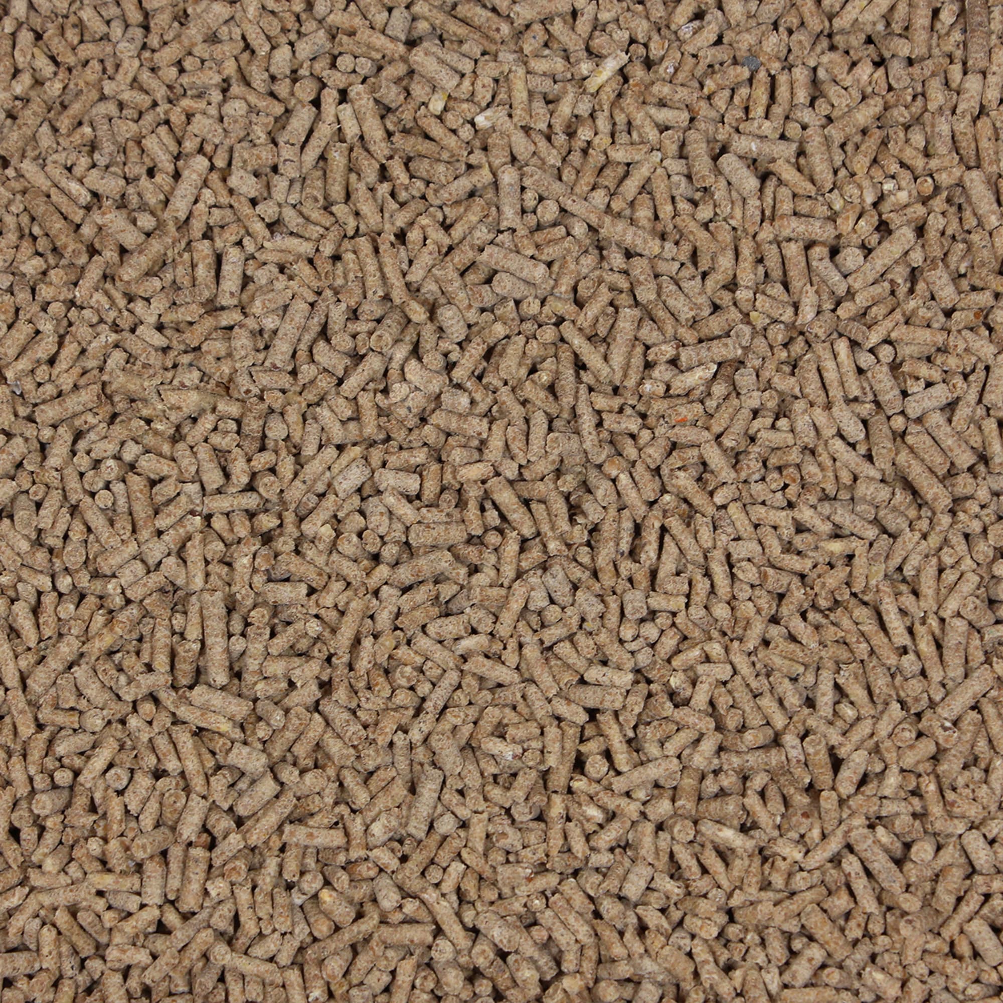 Sun Seed Vita Prima Sunscription Hedgehog Food, 25 oz.