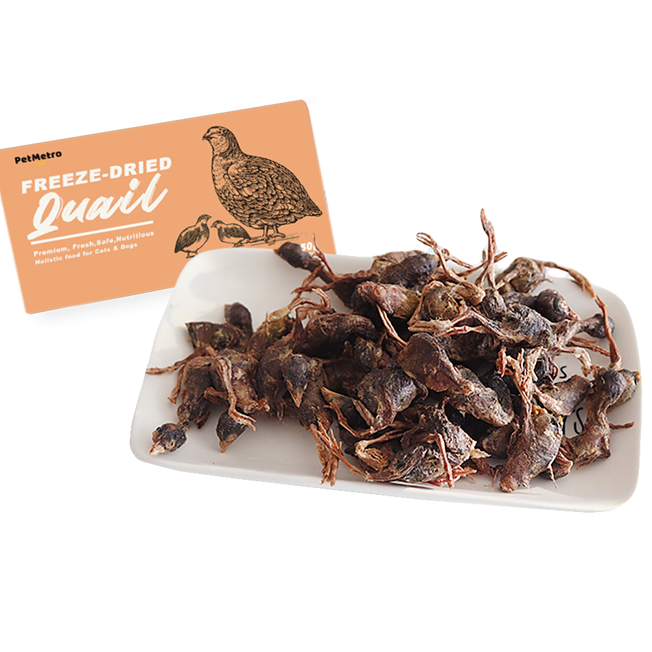 Hot sale Freeze-dried quail pet snacks cat and dog teething training food