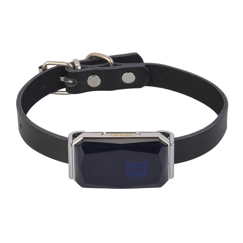 Hot Sell Pets GPS Tracker G12 IP67 Trackers Locator AGPS Wifi LBS APP+Web+SMS Real-time Tracking System Collar for Dogs Cats