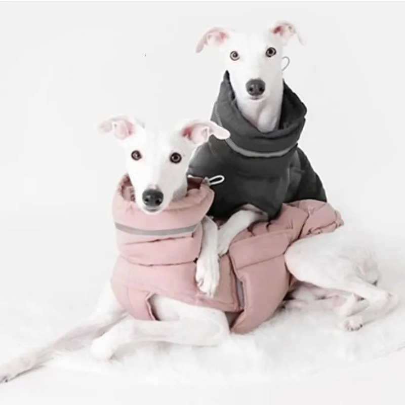Windbreak Pet Clothes Winter Warm Thicken Puppy Dog Down Jacket for Small Medium Dogs Whippet Greyhound Coats mascotas Clothing 241125
