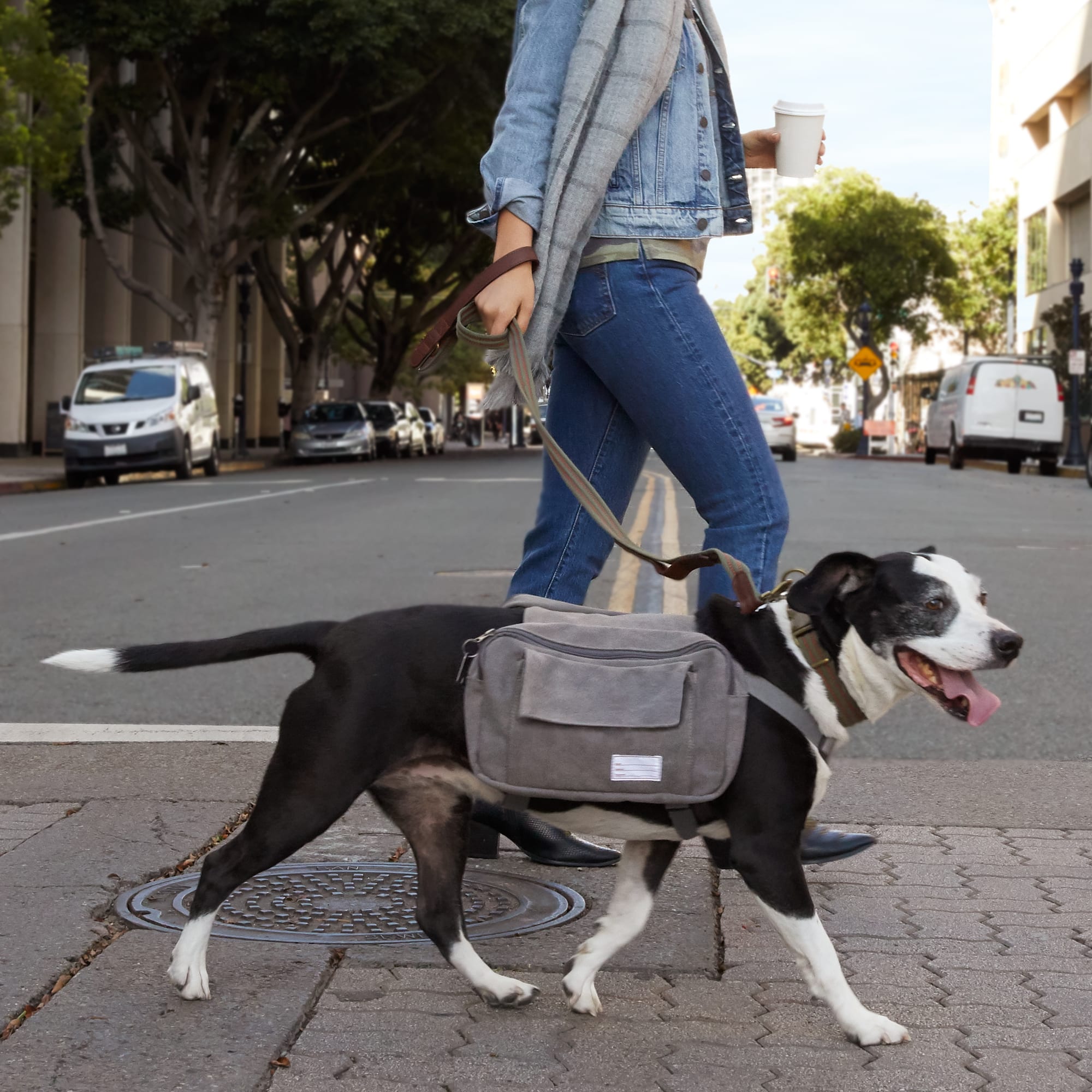 Reddy Grey Washed Canvas Dog Saddle Bag, Medium