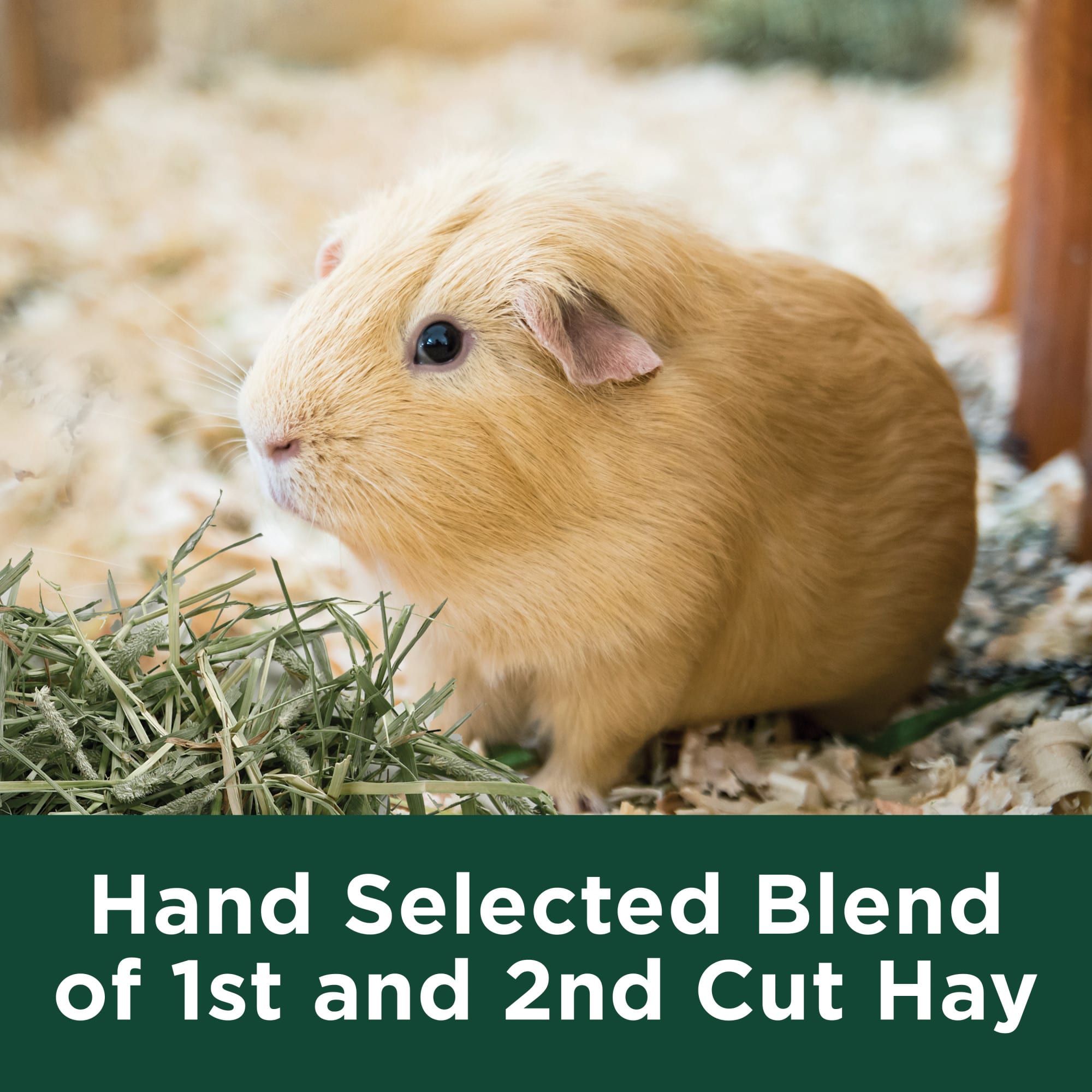 Kaytee Timothy Hay with Carrots, 48 oz.