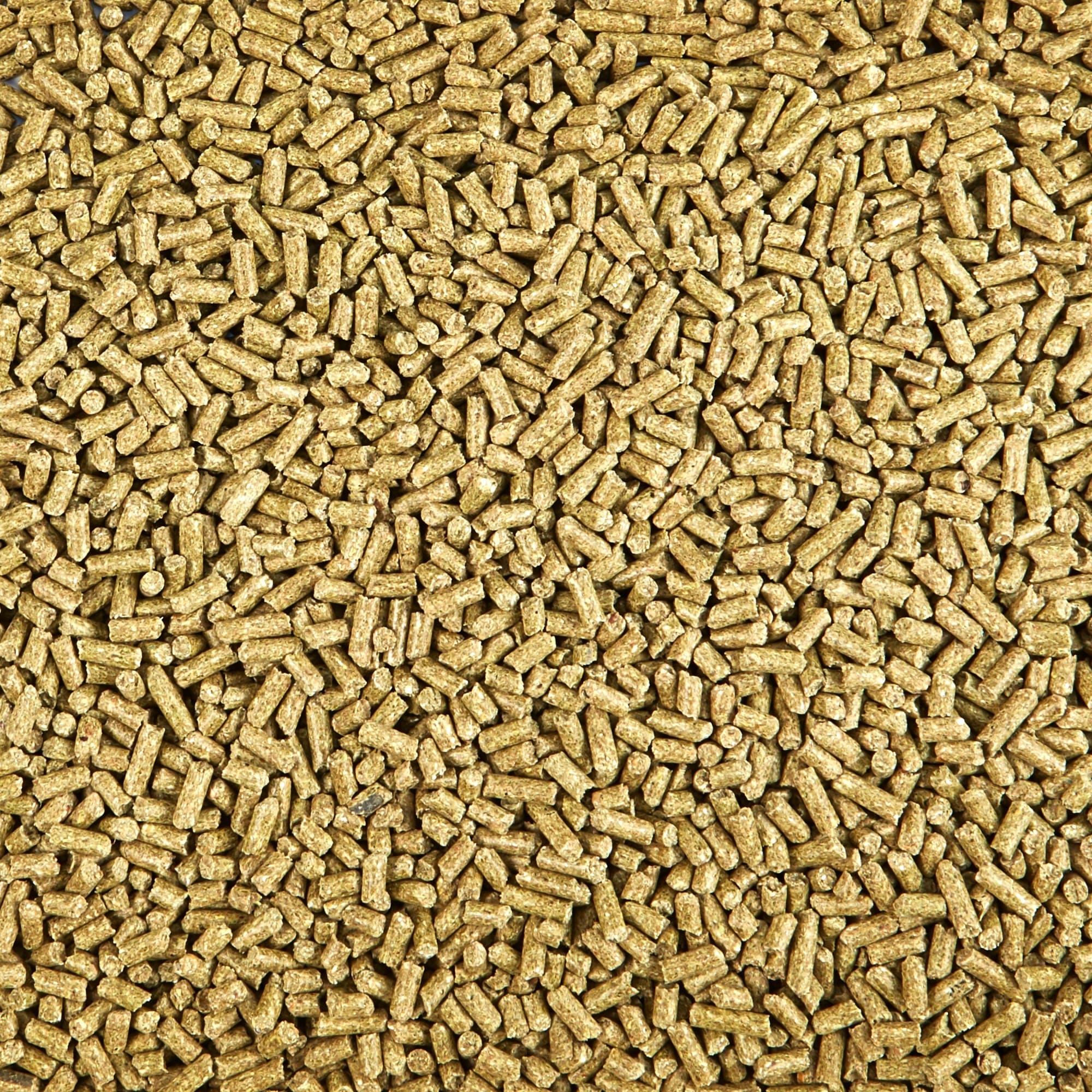 Kaytee Timothy Complete Guinea Pig Food, 9.5 lbs.