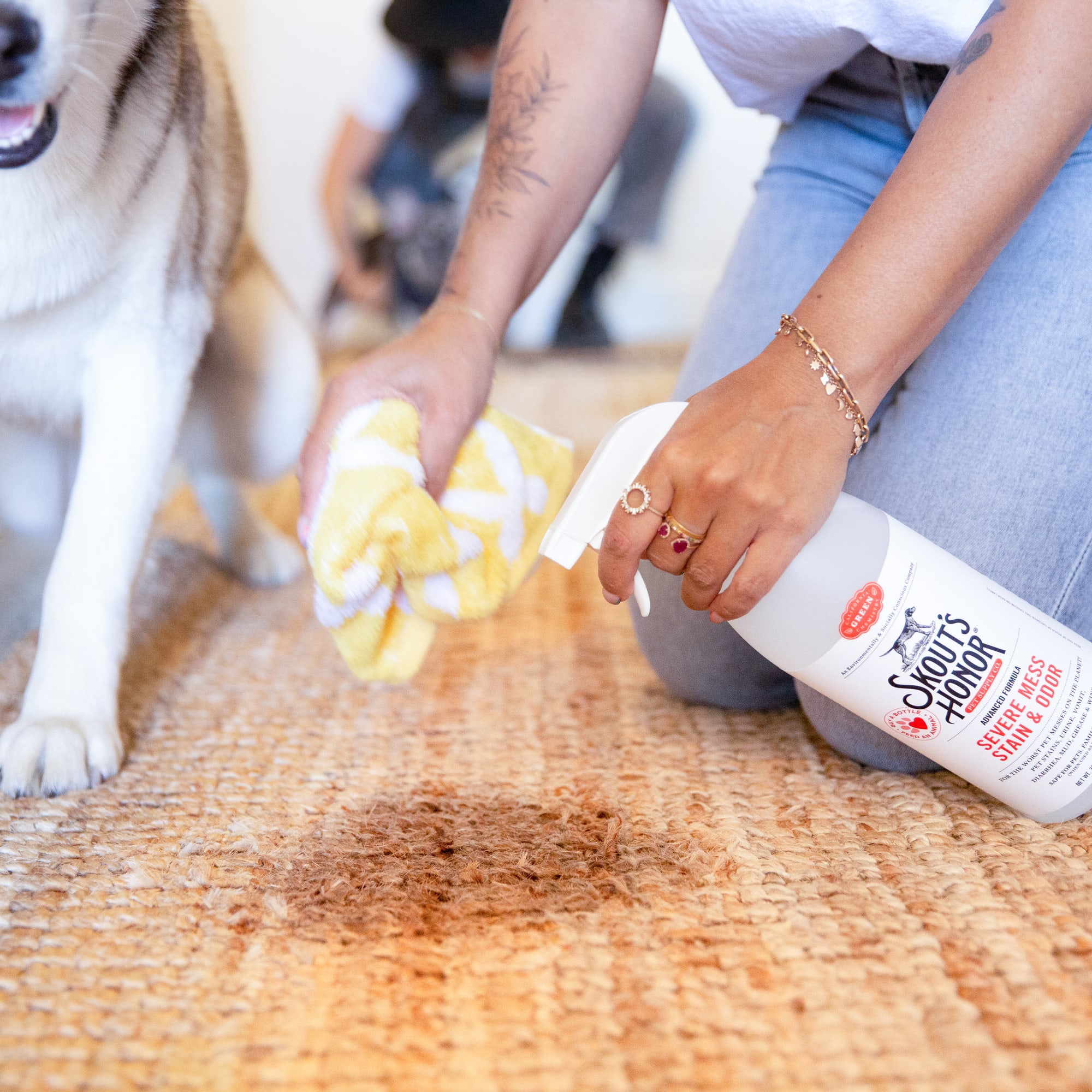 Skout's Honor Dog Stain & Odor Severe Mess Advanced Formula, 35 fl. oz.