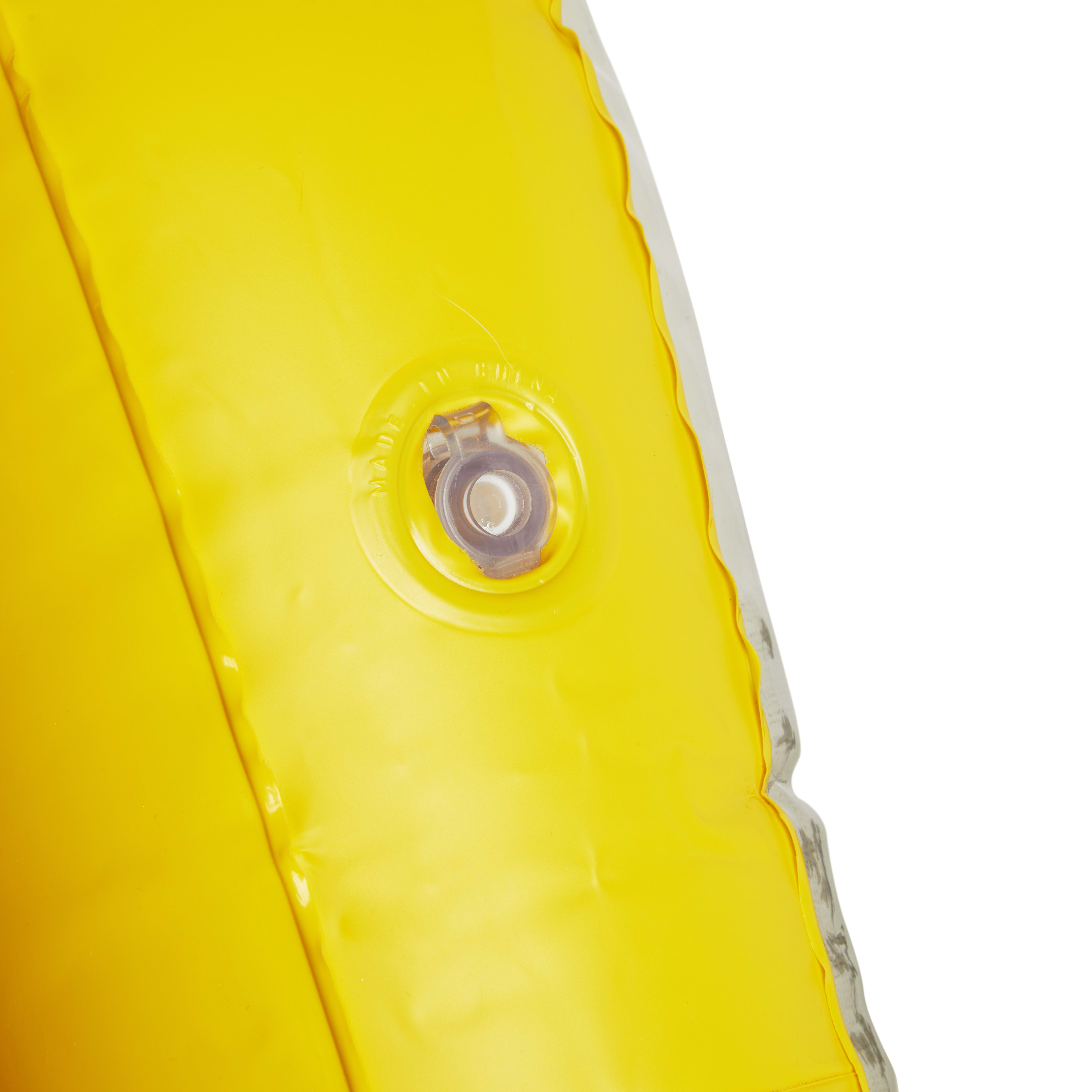 Leaps & Bounds Pineapple Pool Float Dog Toy, Large