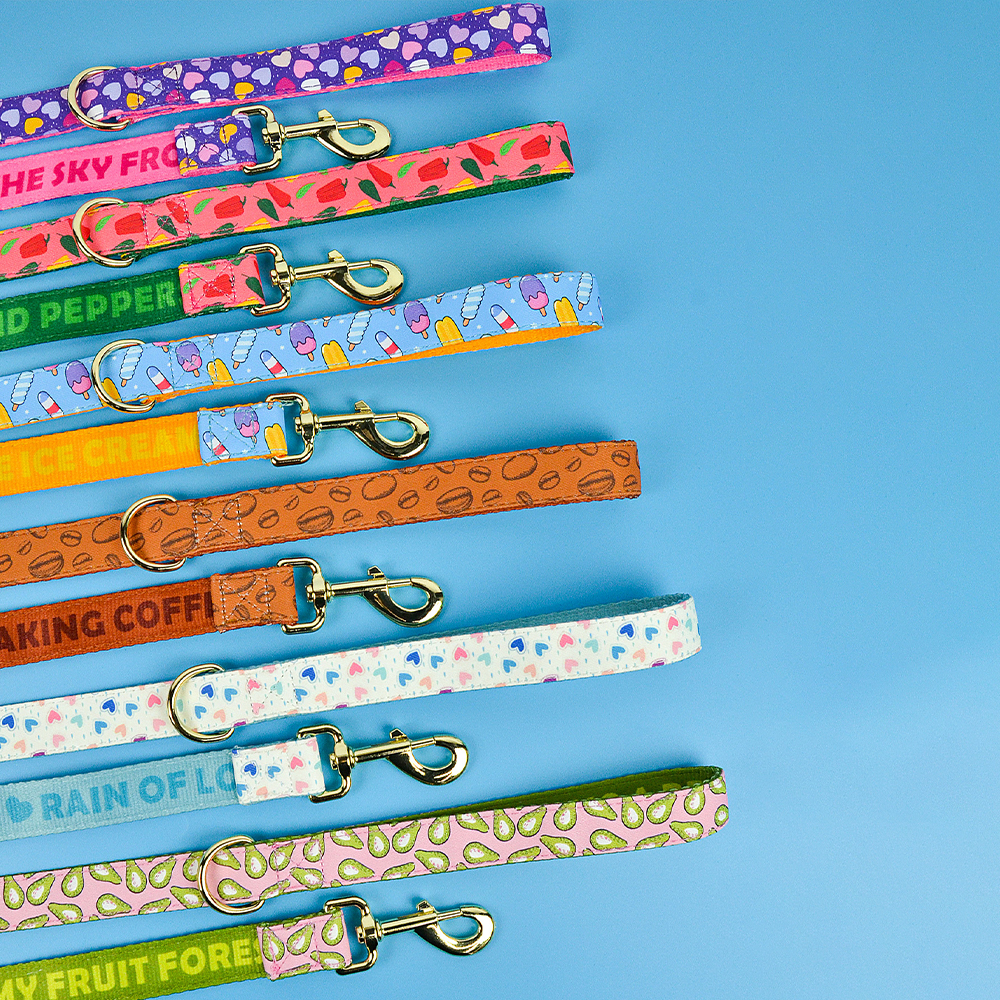 MIDEPET New Arrives Personalized Designer Pattern Luxury Sublimation Print Accept Training 5ft Long Dog Leashes