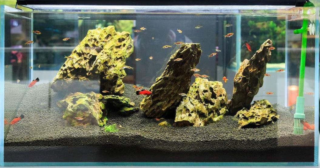 Source factory top quality bio substrate for aquariums shrimp