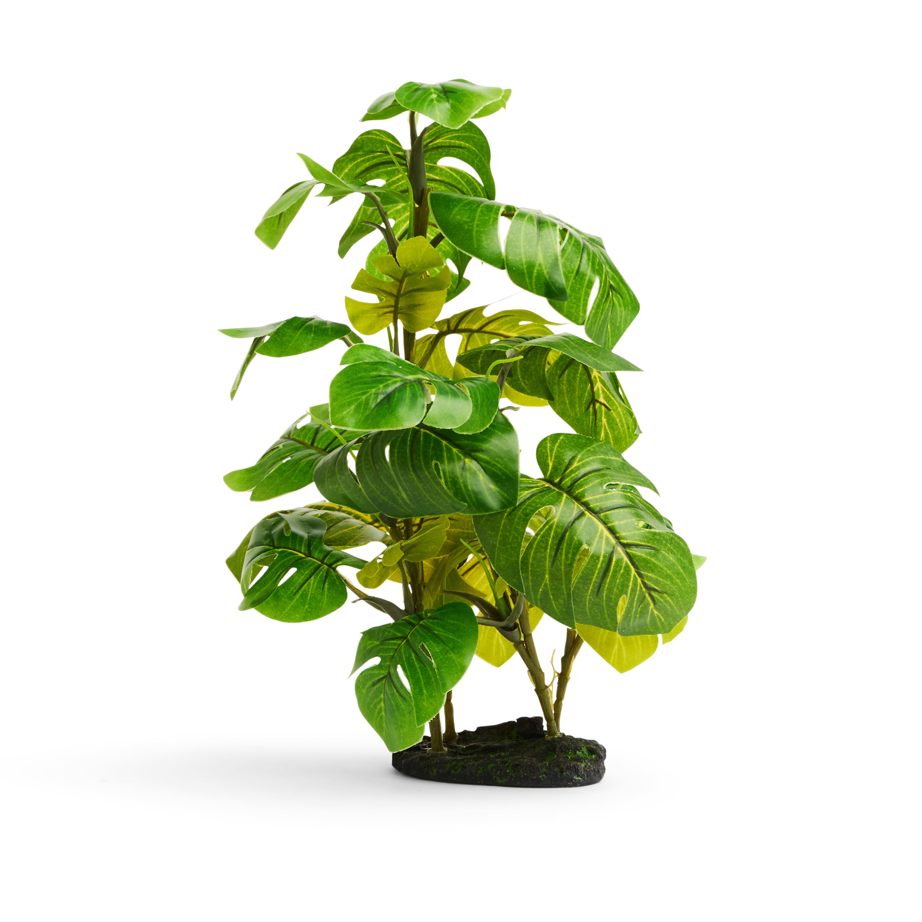 Imagitarium Stand Araceae Plant Terrarium Decor, Small