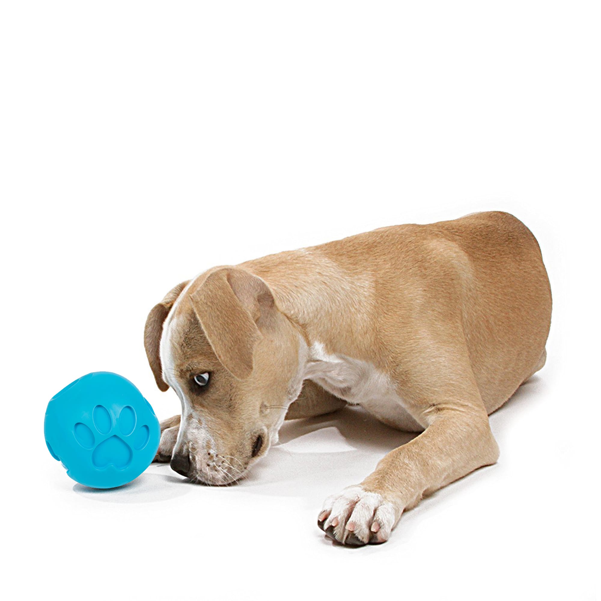 Petique Blue Paw Me! Treat Ball Dispenser for Pets, X-Small