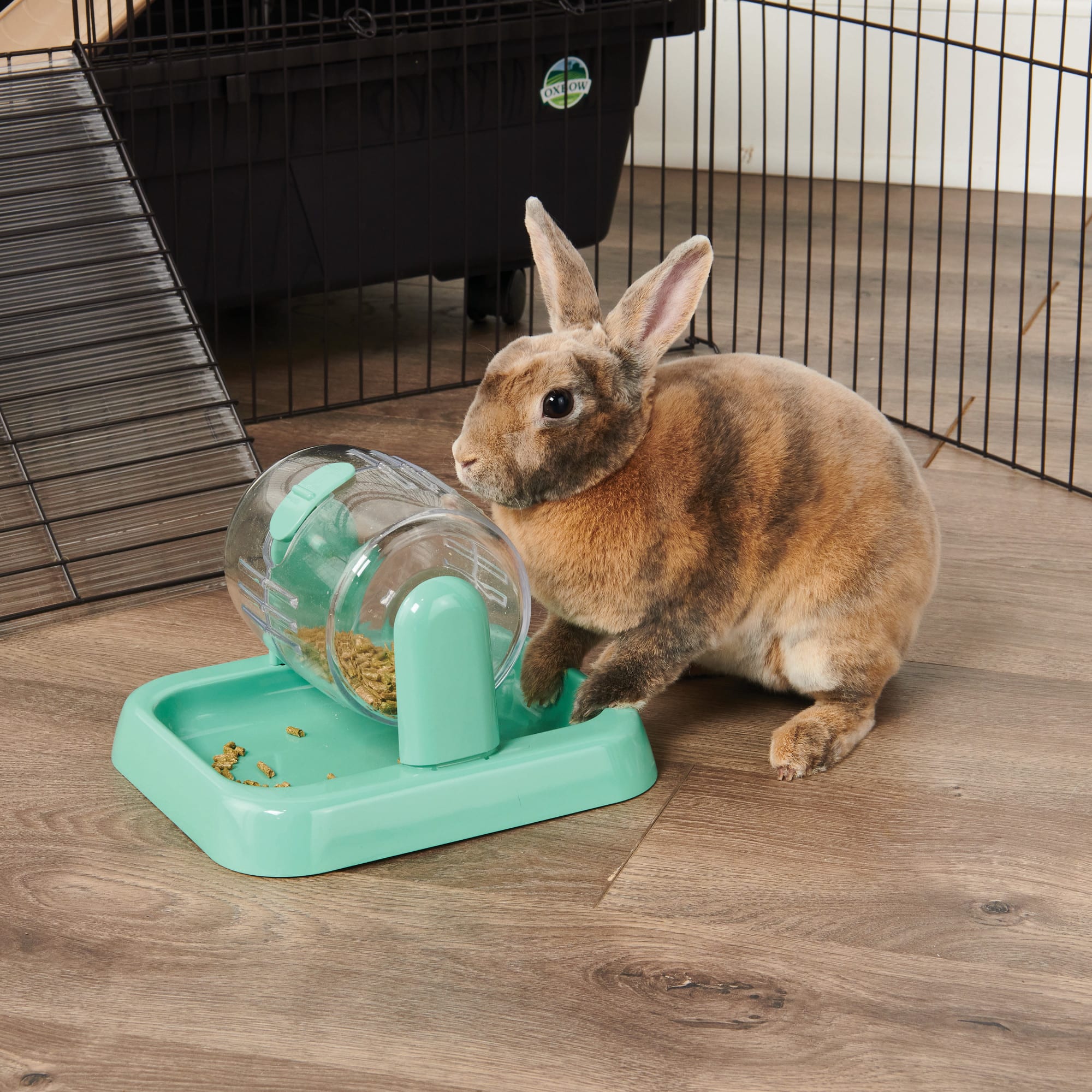Oxbow Enriched Life Rolly Teaser Food & Treat Dispenser for Guinea Pig, Medium